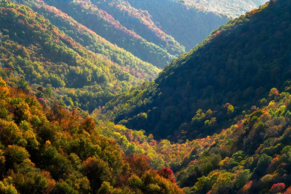 Scenic Landscape in Blackwater Falls State Park, West Virginia: Vibrant Fall Foliage in Appalachian Mountains, Stunning Nature Photography Destination.
  Autumn  