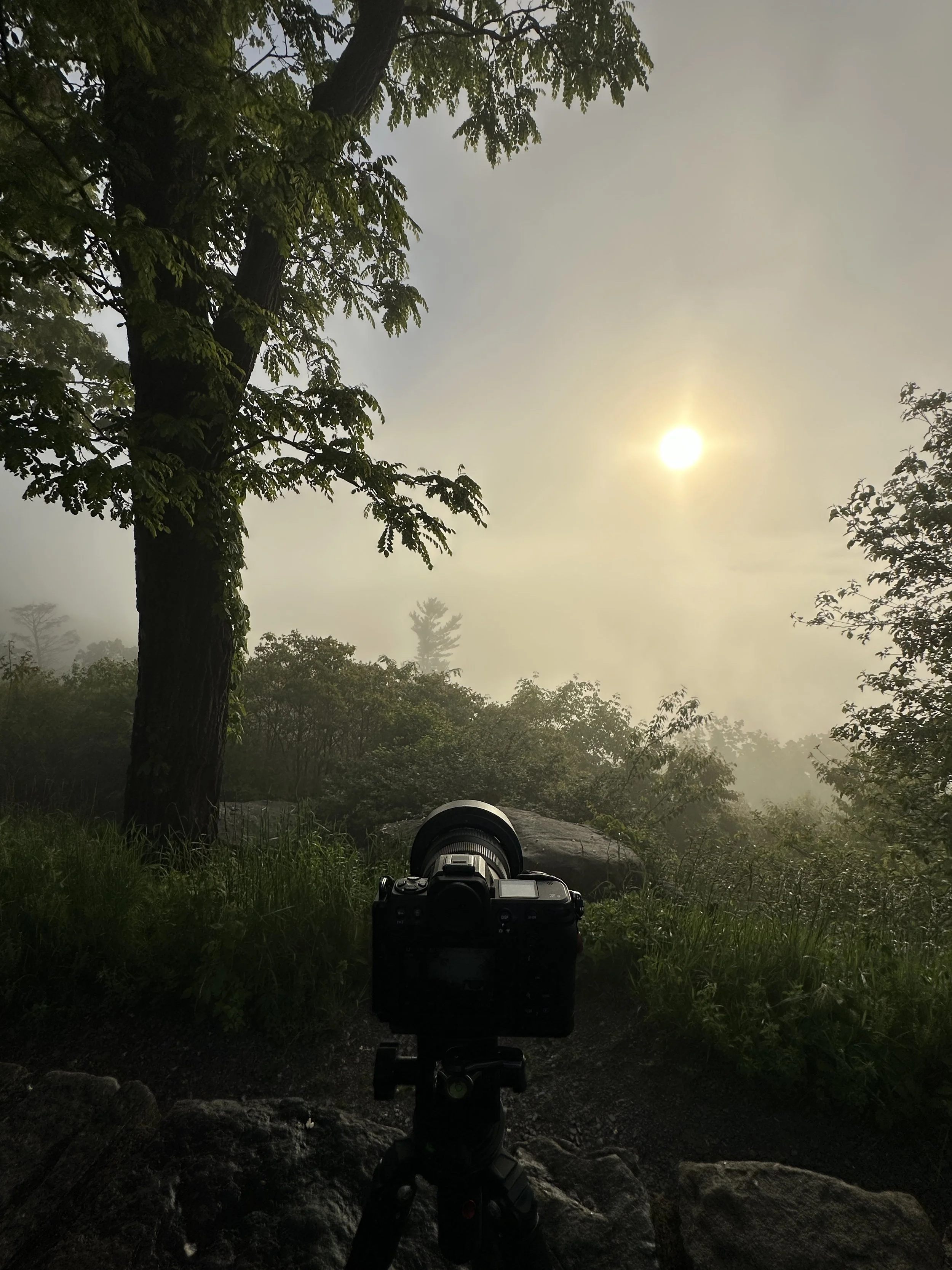 A camera on a tripod set on a rocky ground, pointing toward a foggy forest landscape with trees and rocks, under the sun rising or setting in a hazy sky.