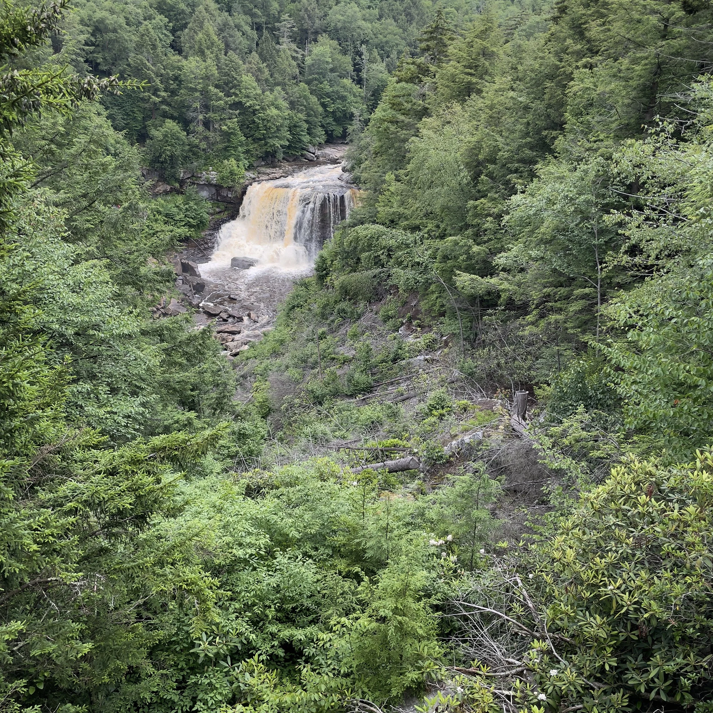 A waterfall cascading over rocks in a lush green forest.