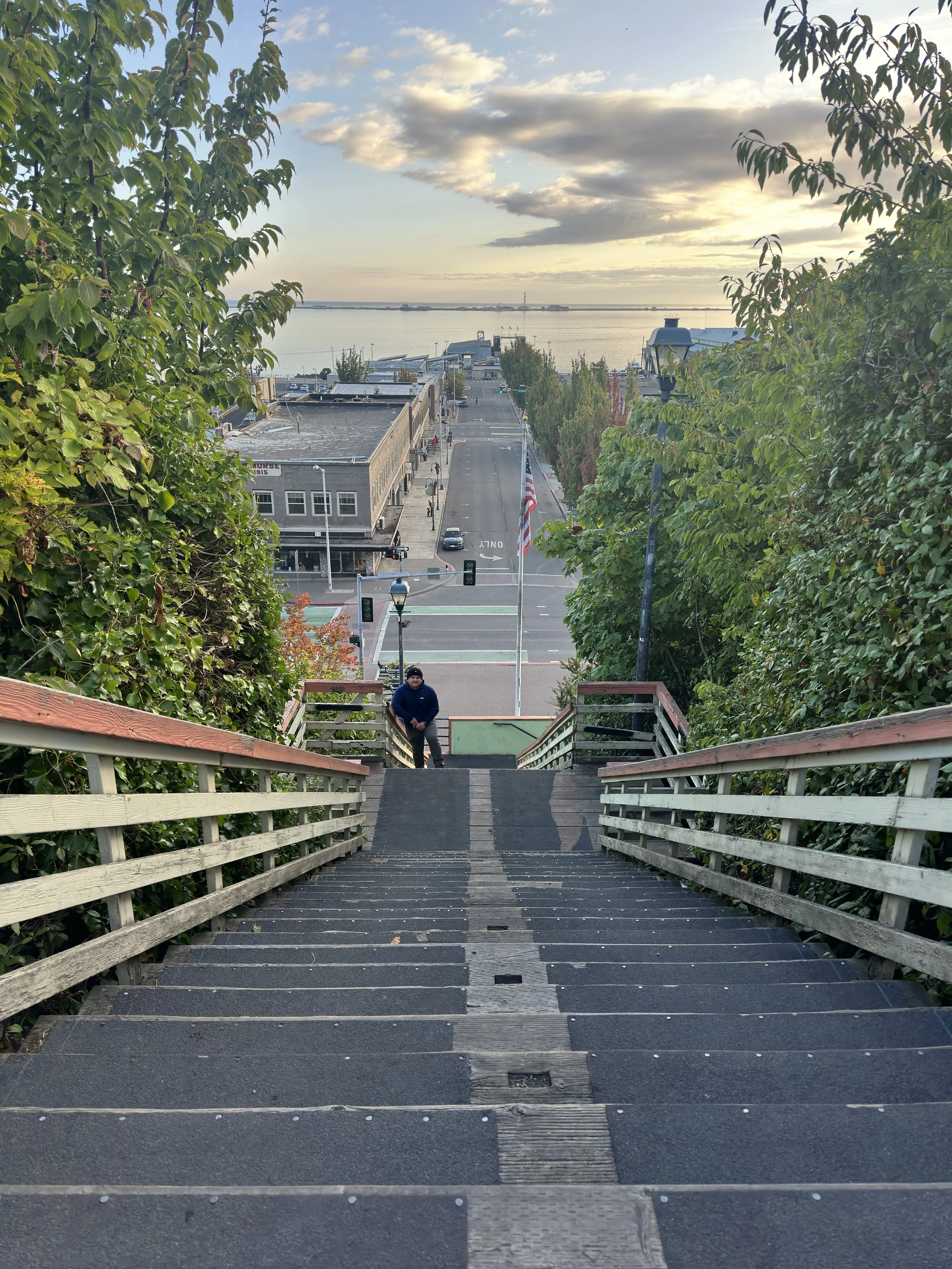 View from the top of a stairway looking down to a street and a waterfront at sunset, with green trees on both sides of the stairs, a person wearing dark clothing at the bottom, and buildings, flags, and water in the distance.