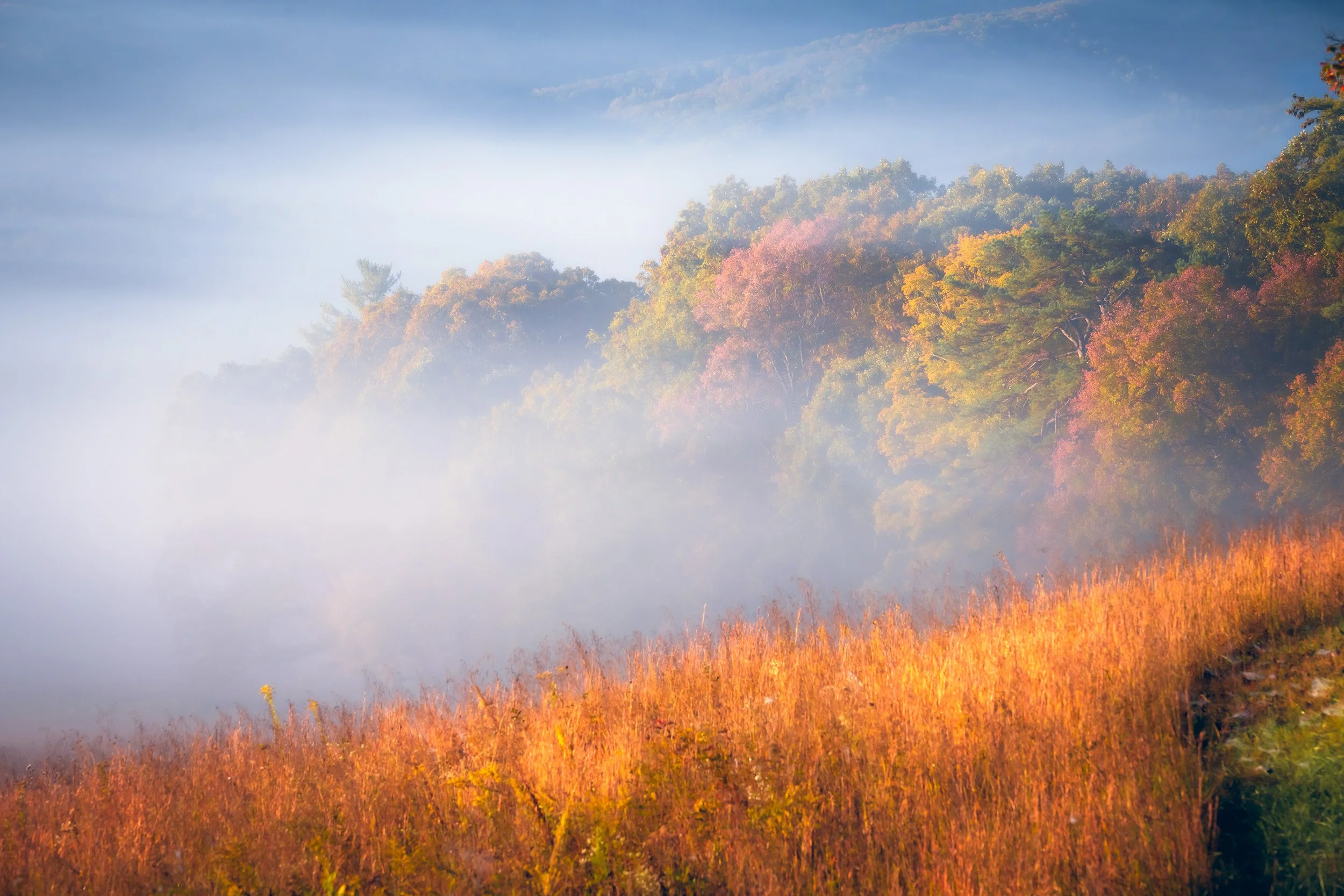 Sunrise magic in Cades Cove, Great Smoky Mountains!   Golden Hour, Light, Autumn,Atmospheric  