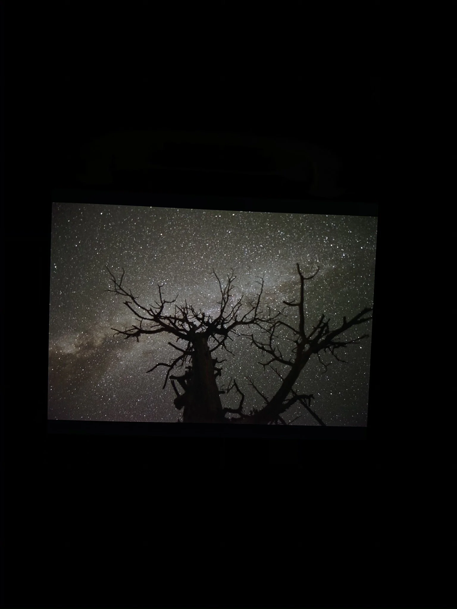 Tree silhouette against a starry night sky with visible stars and the Milky Way galaxy.