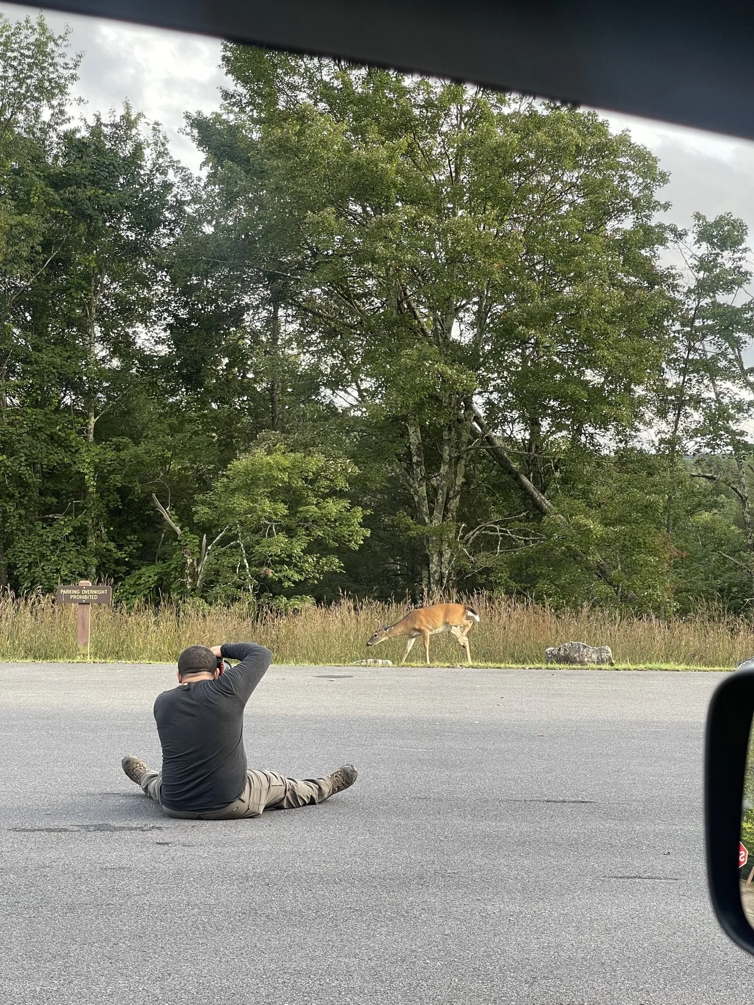 A person sits on the ground taking a photograph of a deer near a wooded area, with a sign that reads 'Parking Overnight Prohibited' in the background.