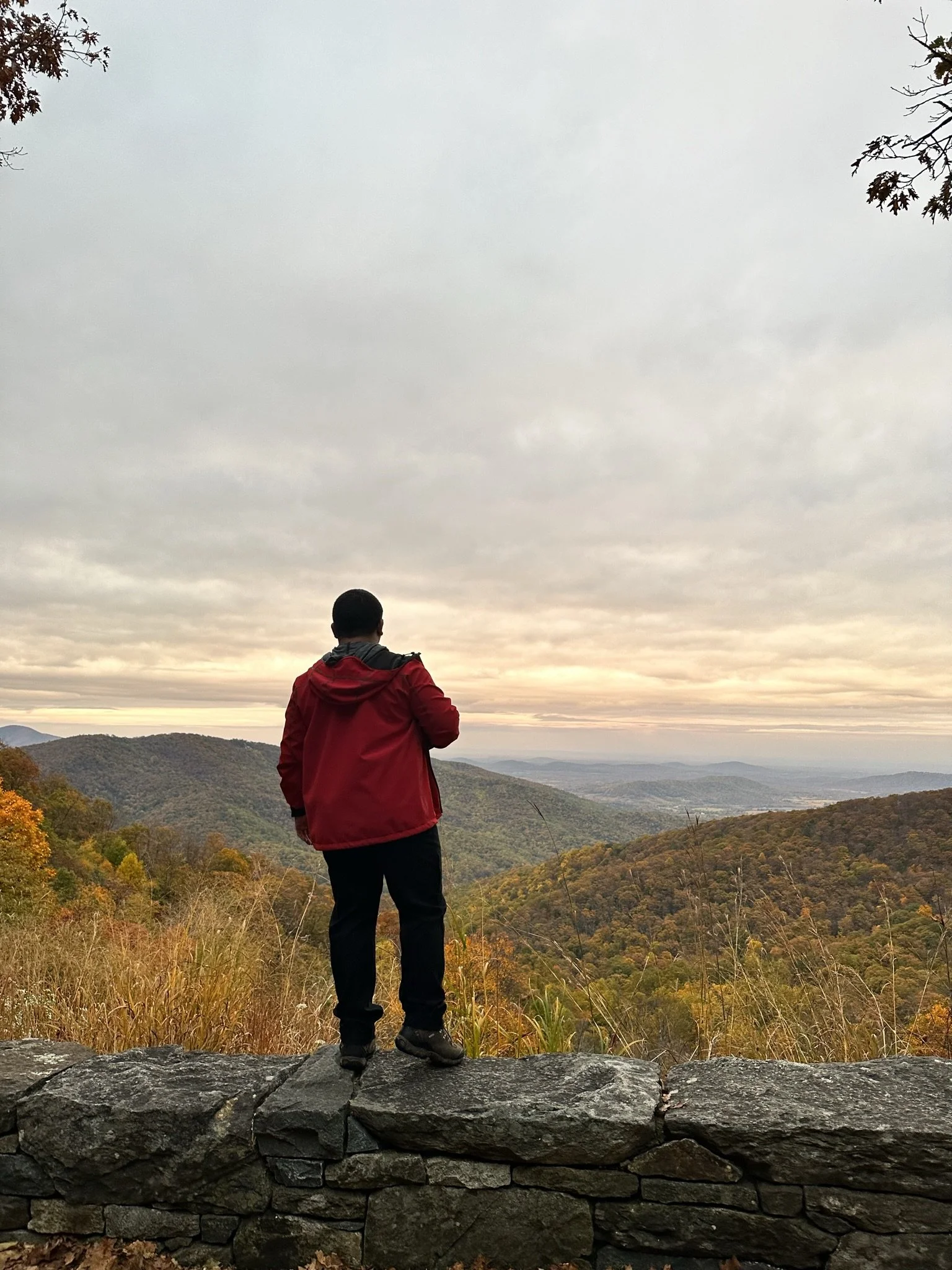 Person standing on a stone wall overlooking a valley with hills and trees, during sunset or sunrise, with a cloudy sky.
