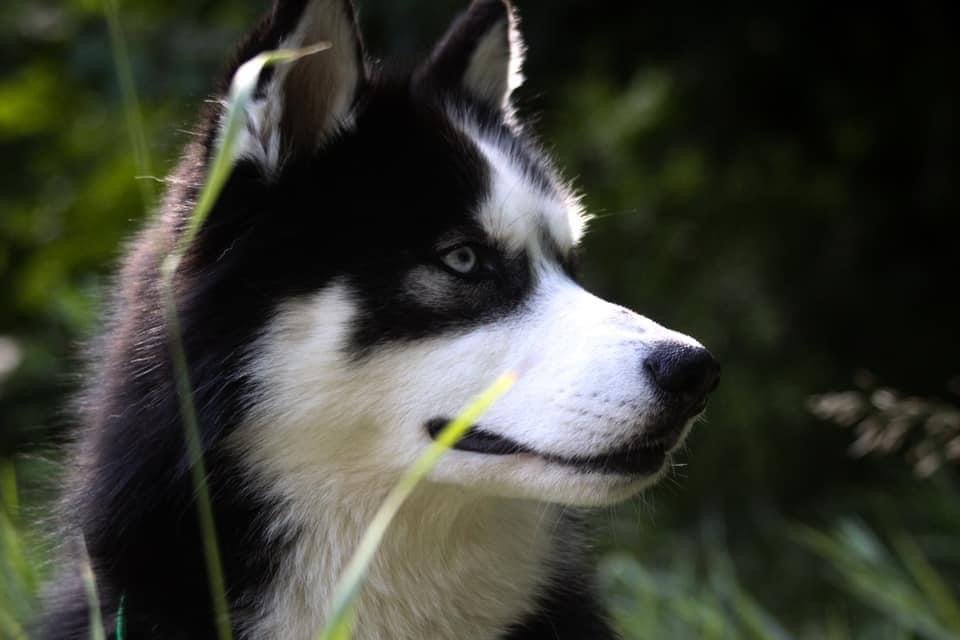 7DC2F993-6B55-4411-A665-D0316375A275.jpeg