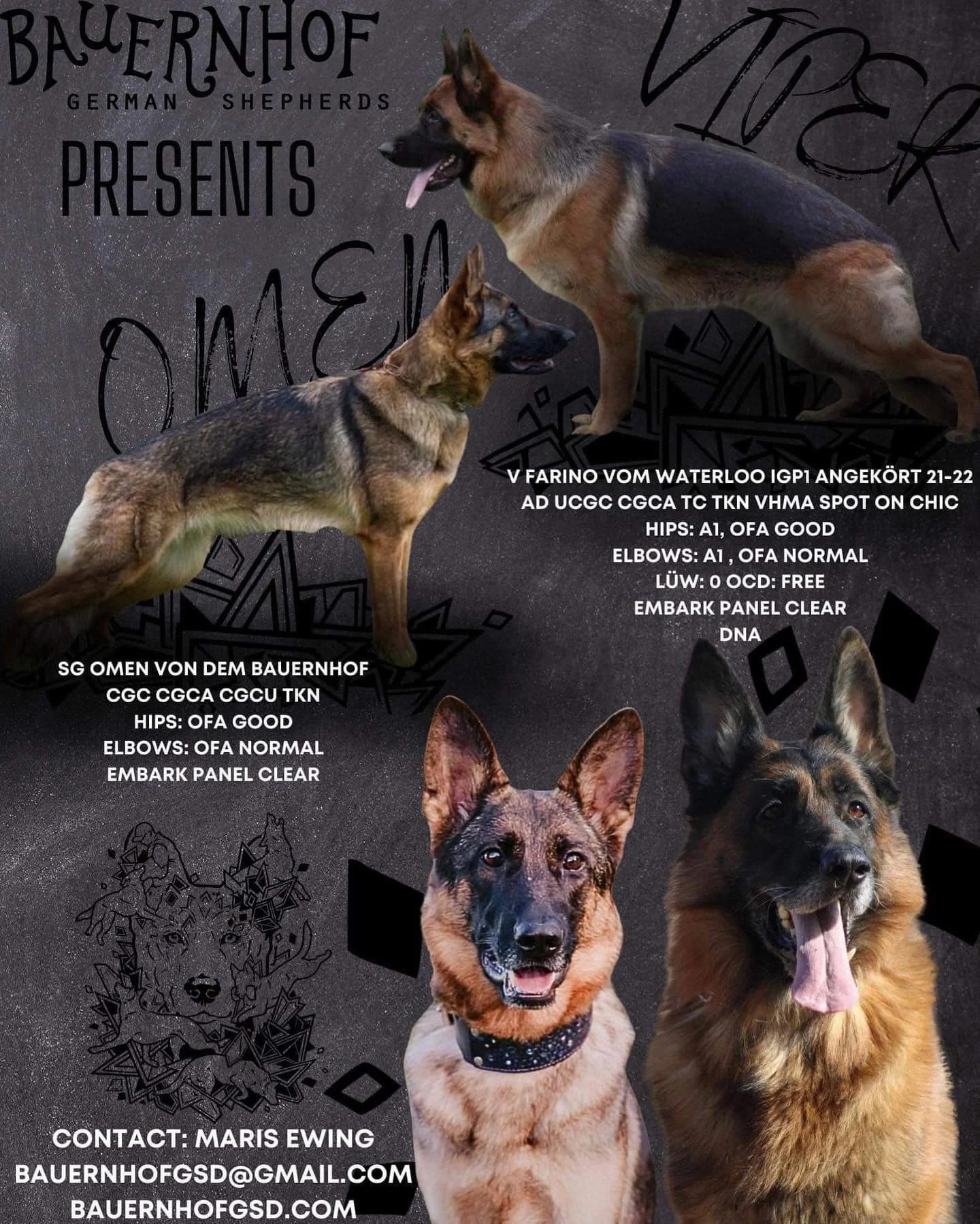 Omen:viper Flyer.jpeg