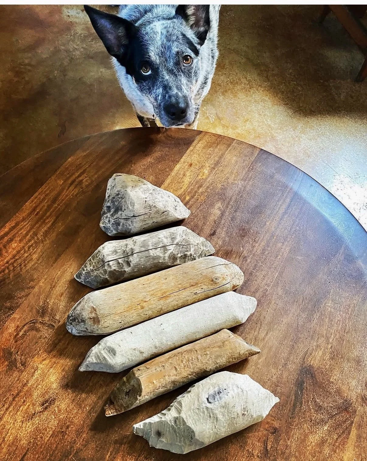 Chonky Beaversticks
