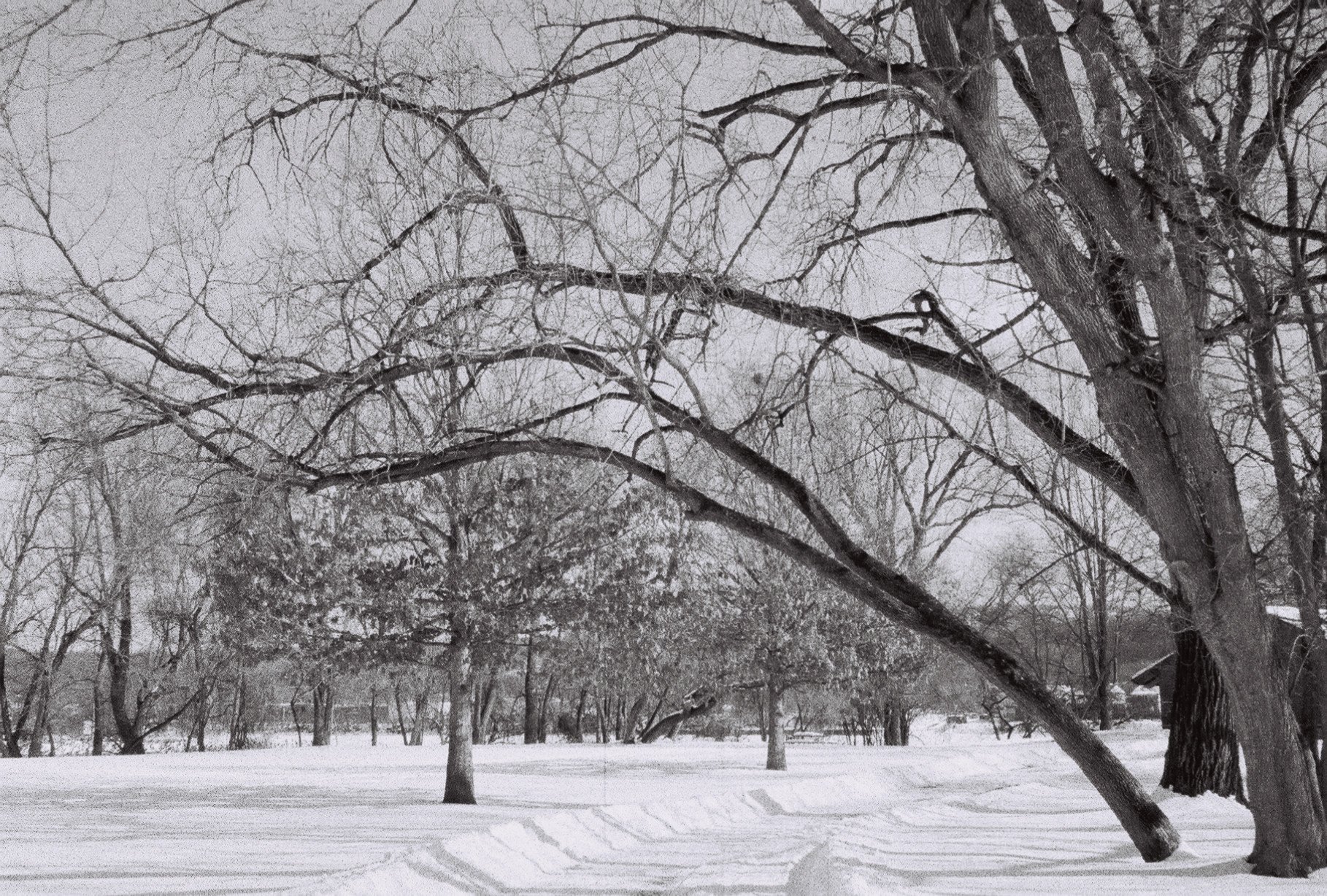 Peebles Island State Park. Taken with Pentax 17. ISO 1600.