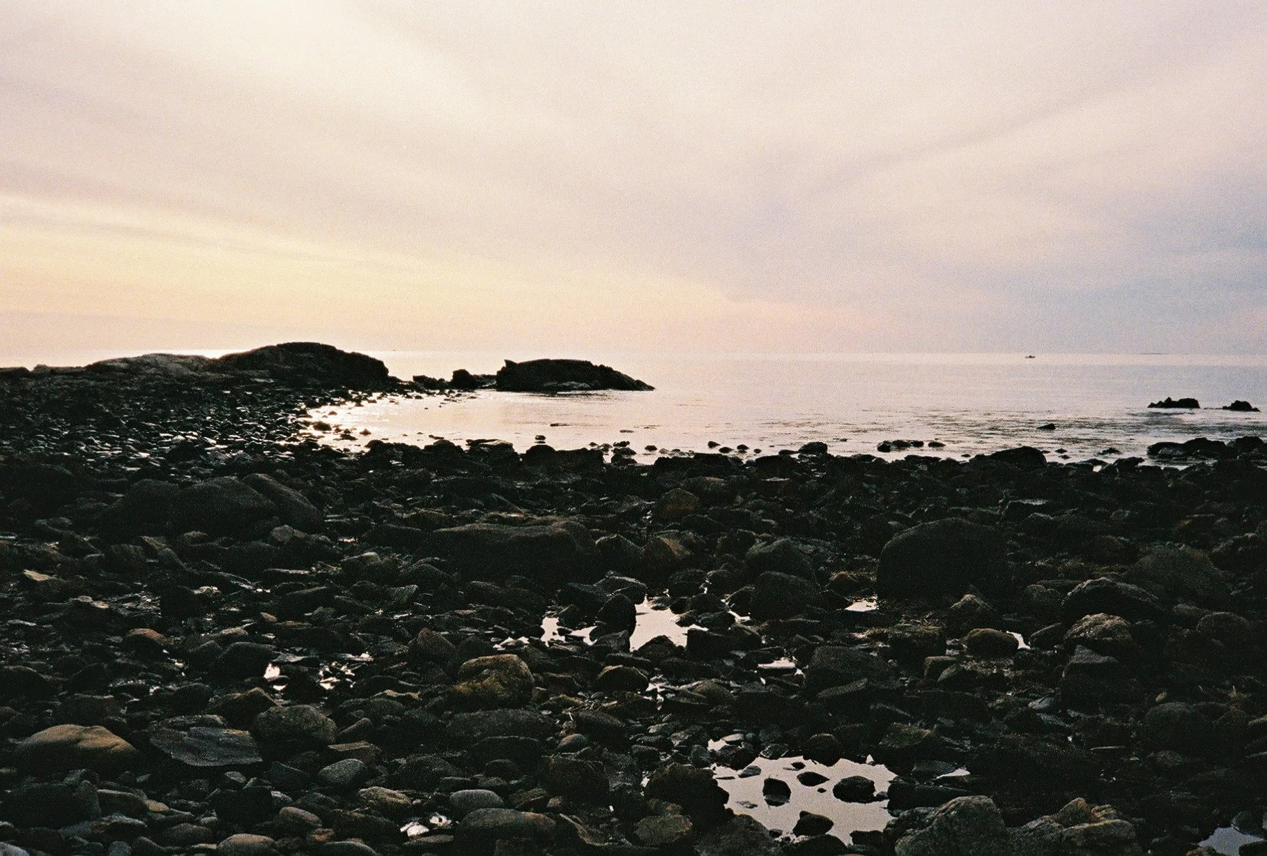 Rye, NH. Taken with a Pentax 17. Fujifilm. ISO 400.