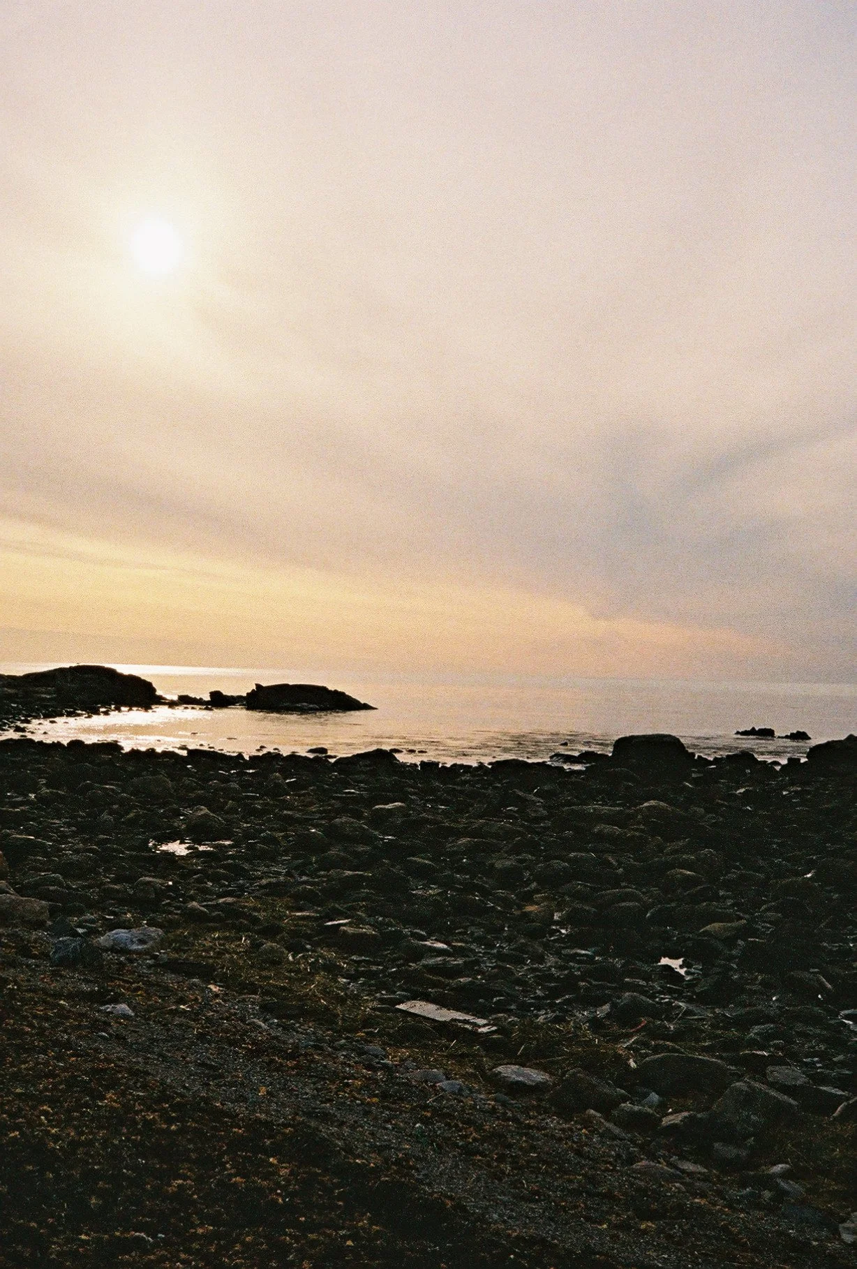 Rye, NH. Taken with a Pentax 17. Fujifilm. ISO 400.