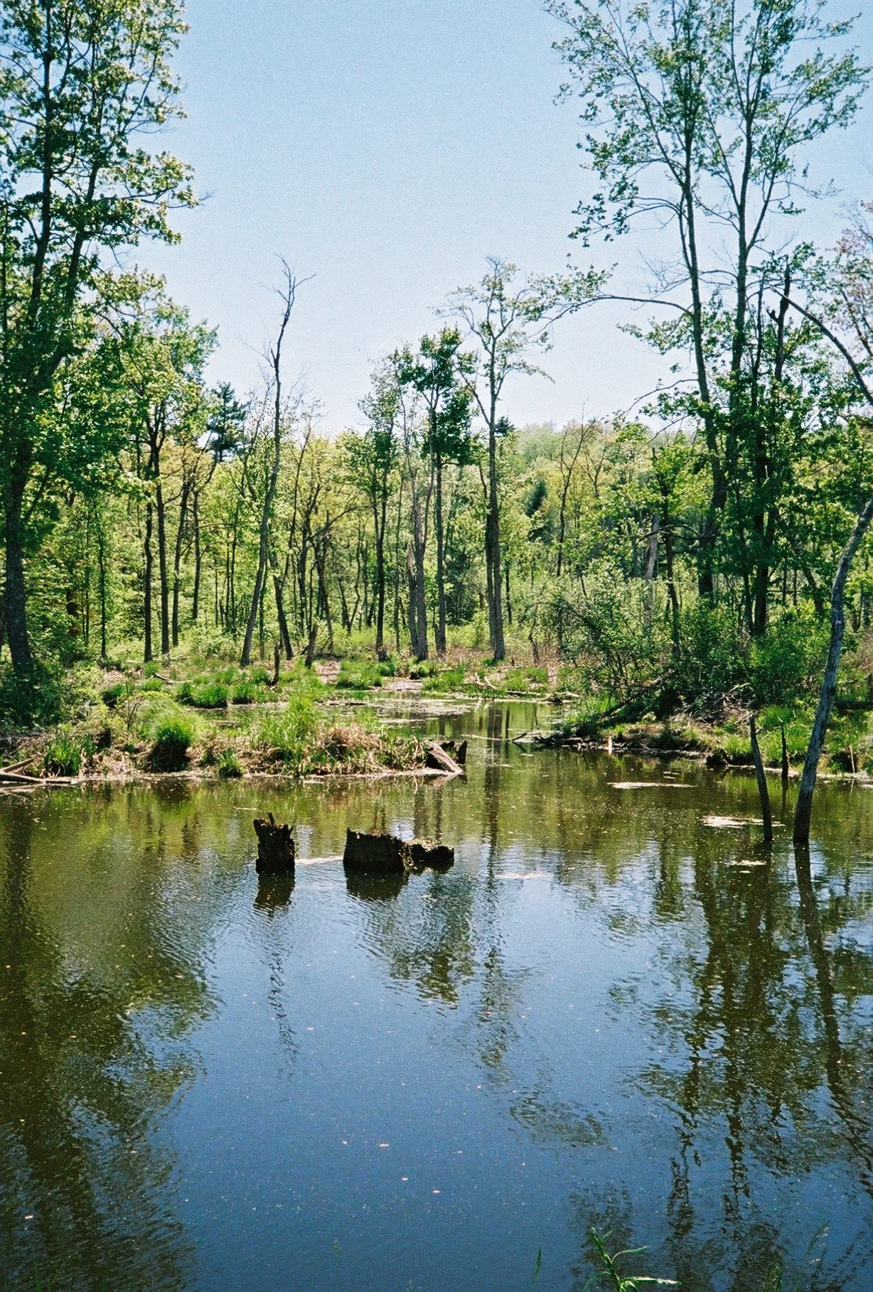 Between Halfmoon and Mechanicville, NY. Taken with a Pentax 17. Fujifilm. ISO 400.