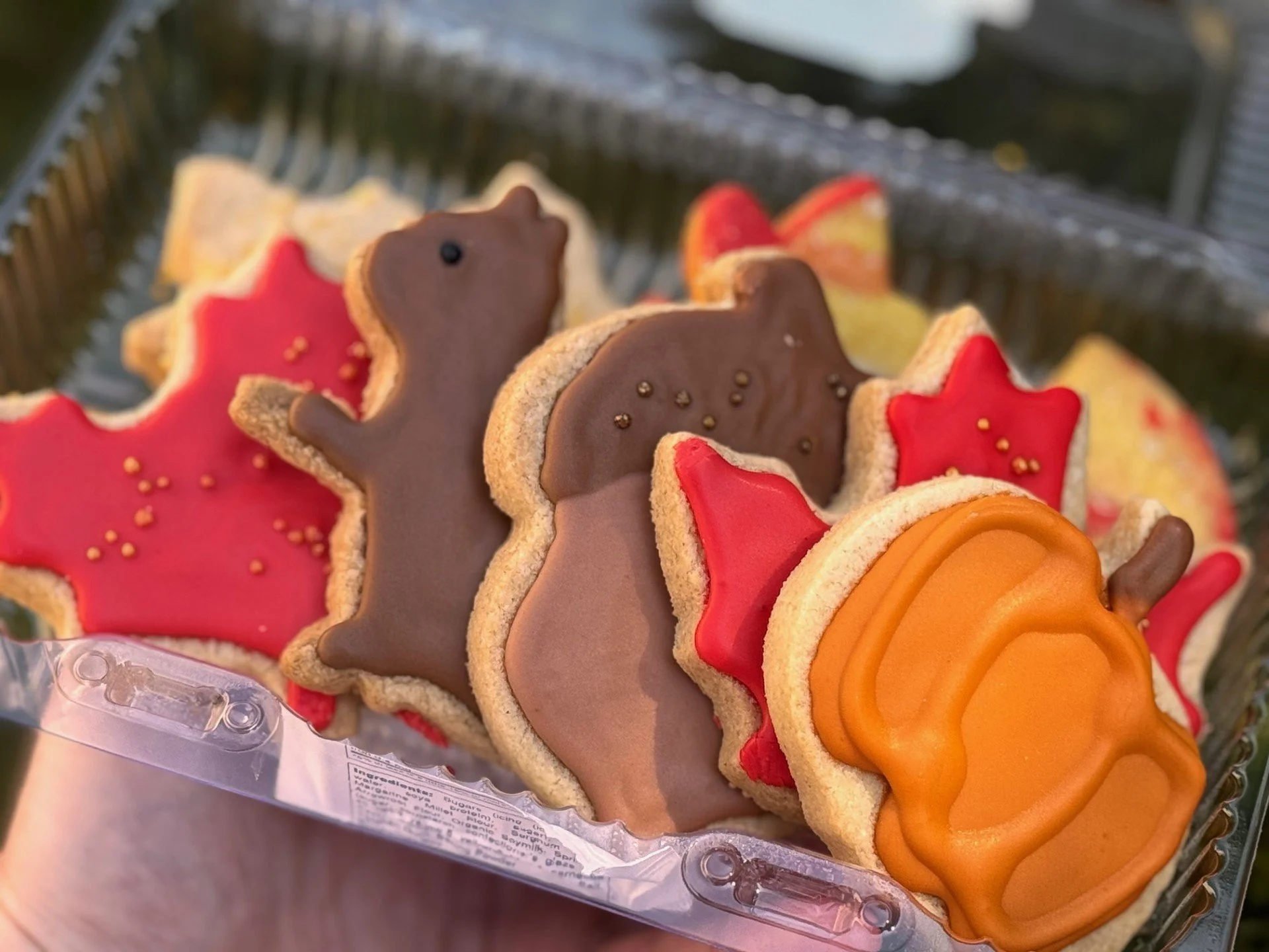 Sugar Cookies.jpg
