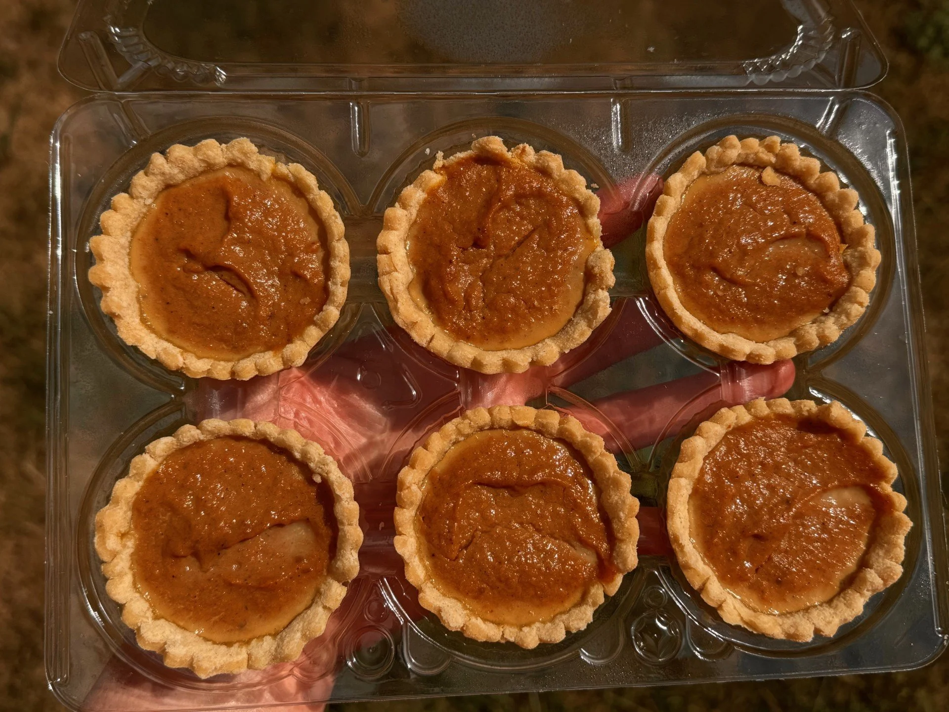 pumpkin tarts.jpg