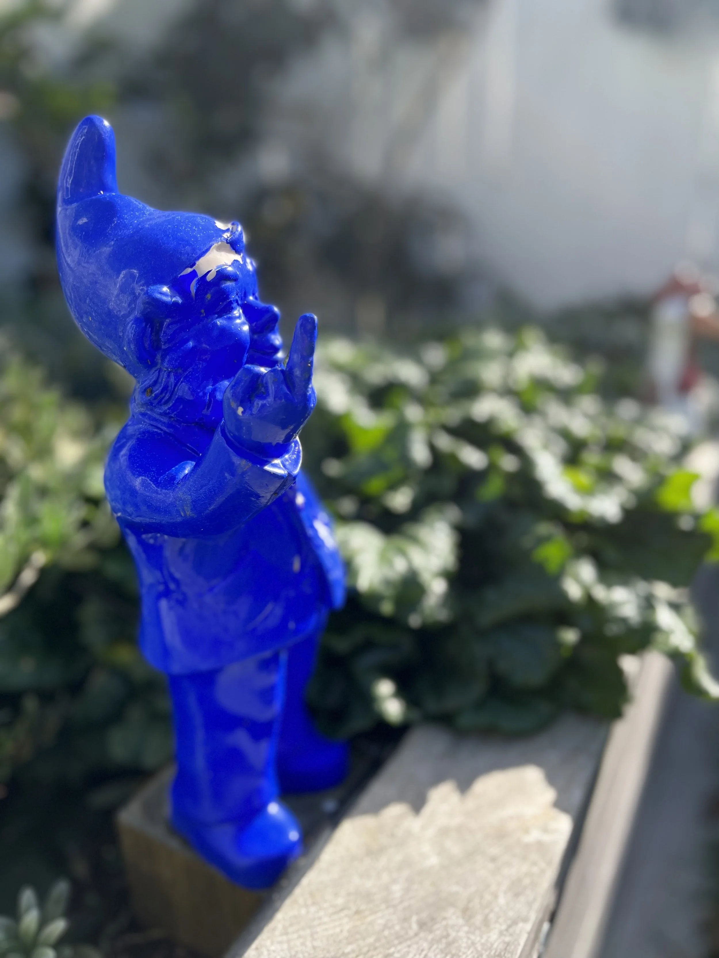 222EB7C5-2416-40AD-A487-14DFCCCC62B9.jpeg