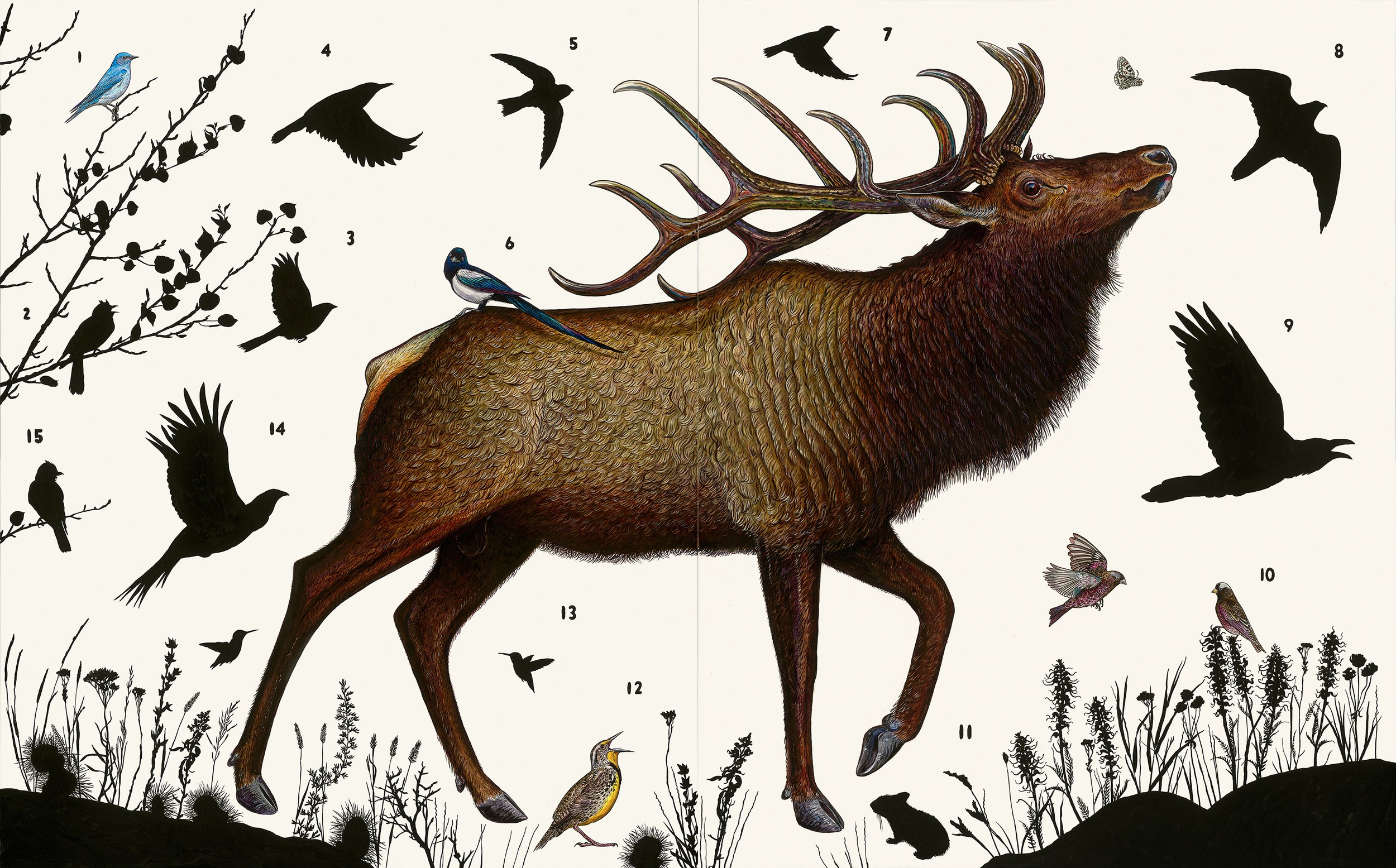 JP_elk_diptych copy.jpg