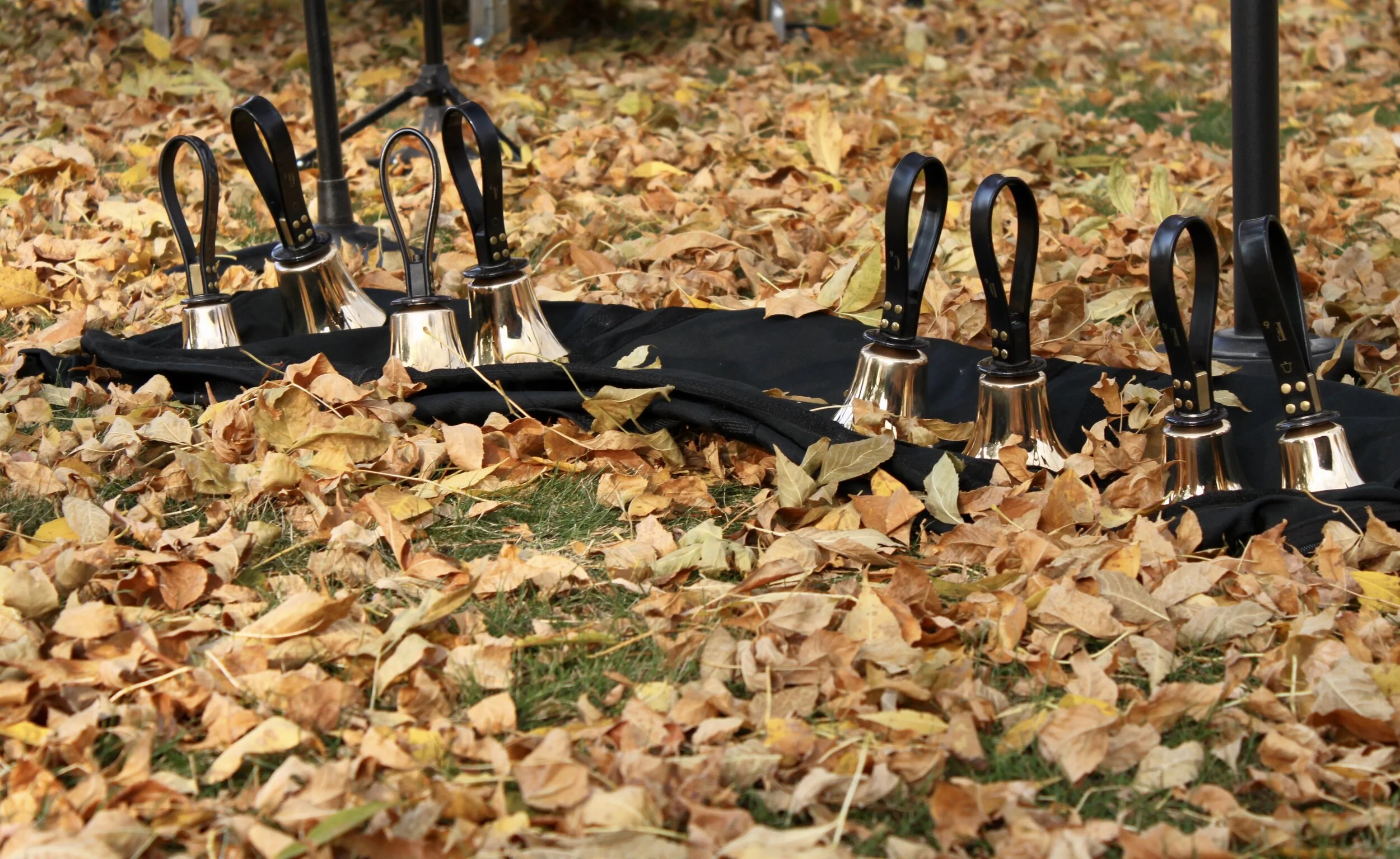 Calvary Carillons (Adult Handbell Choir)