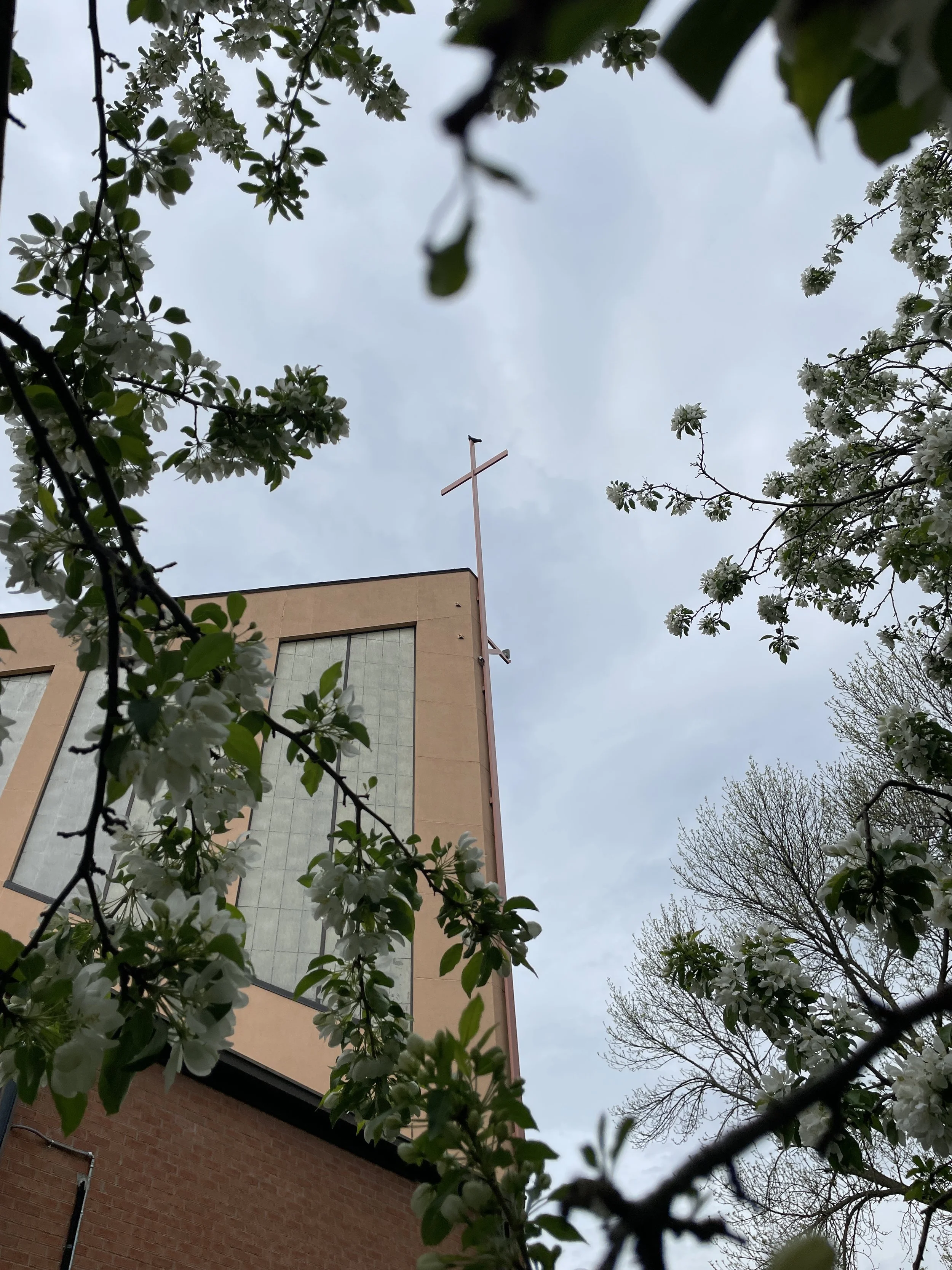 Sunday Outdoor Worship