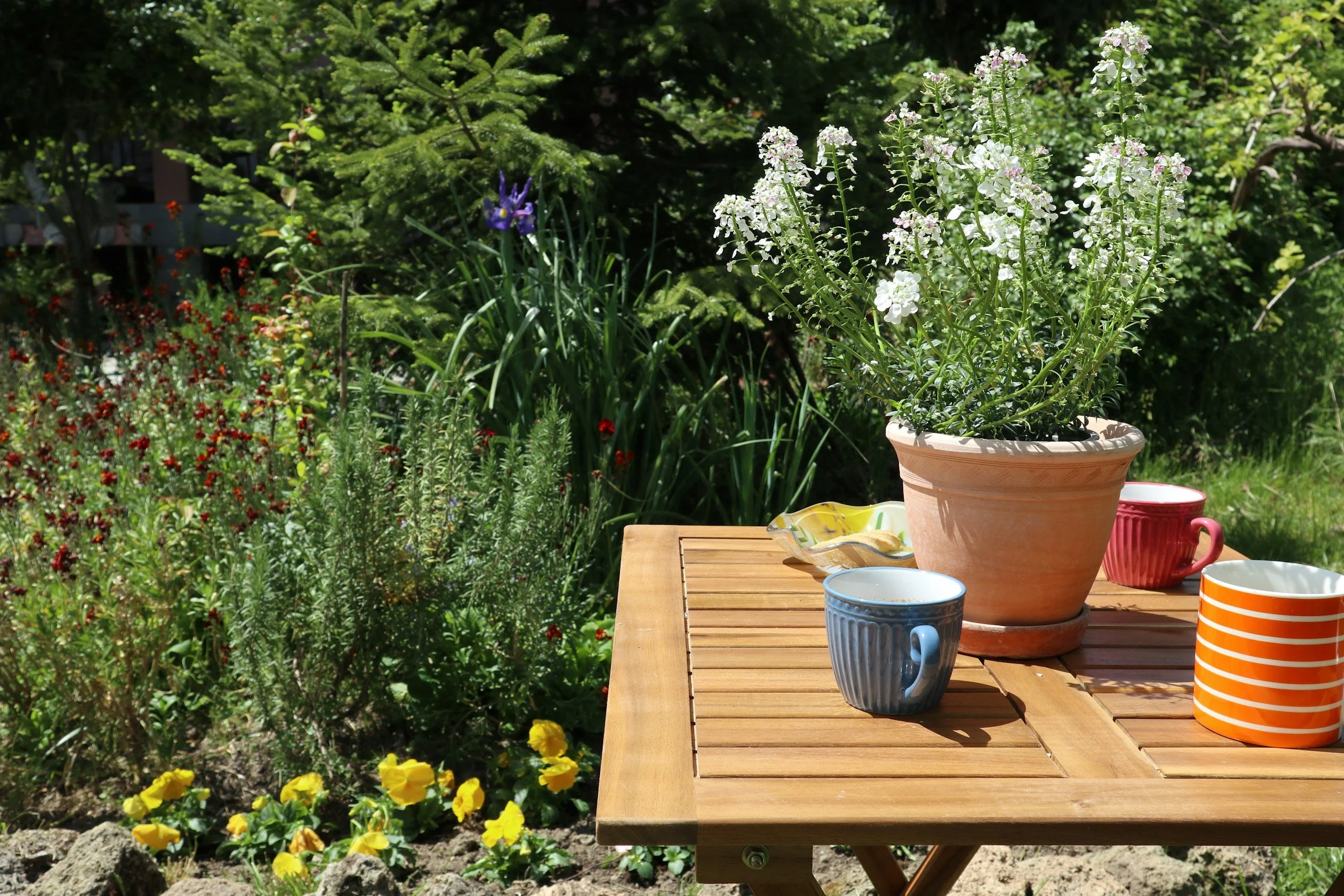 Coffee in the Courtyard with Karen &amp; David