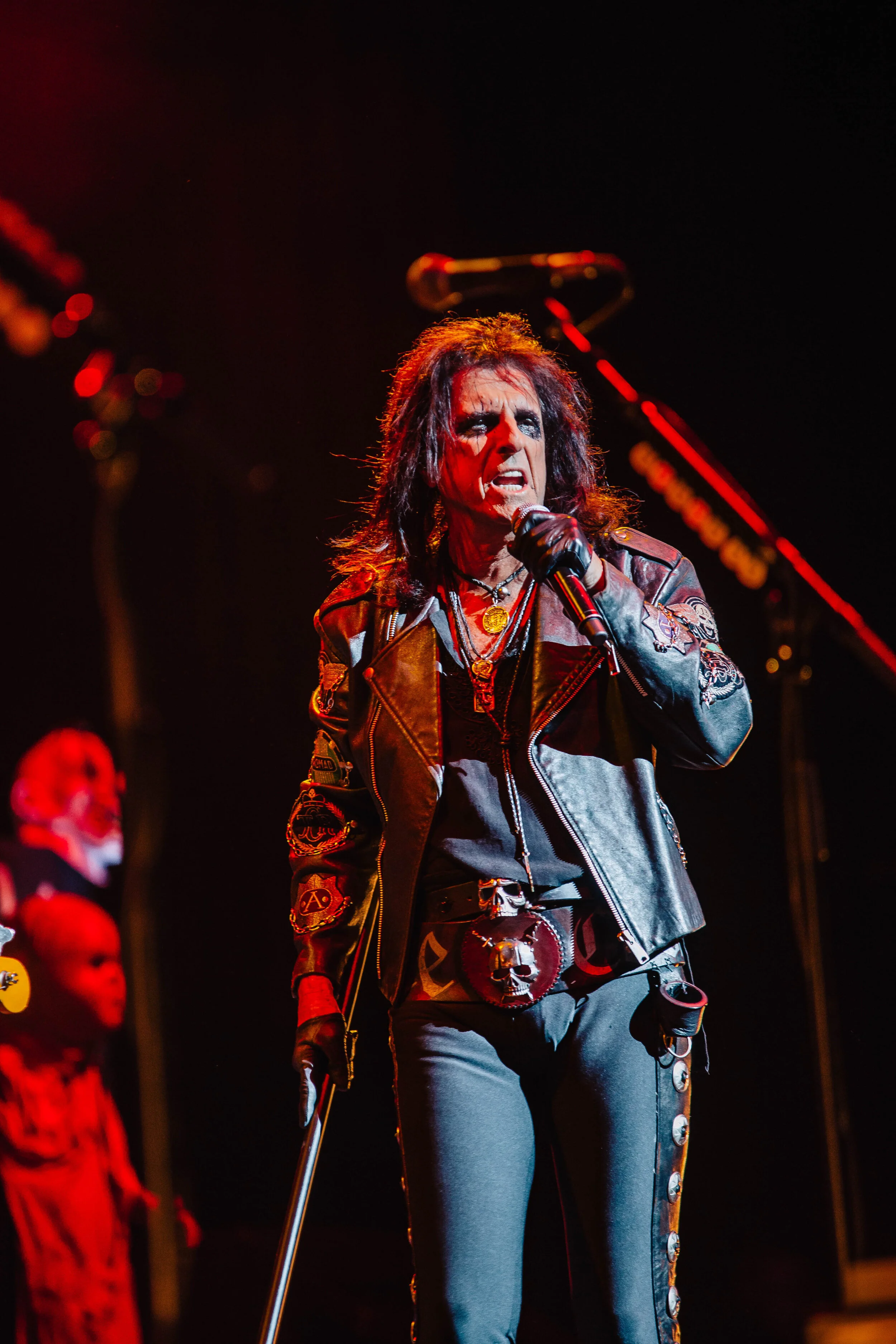 Alice Cooper-by-bailey-flores-3181.jpg