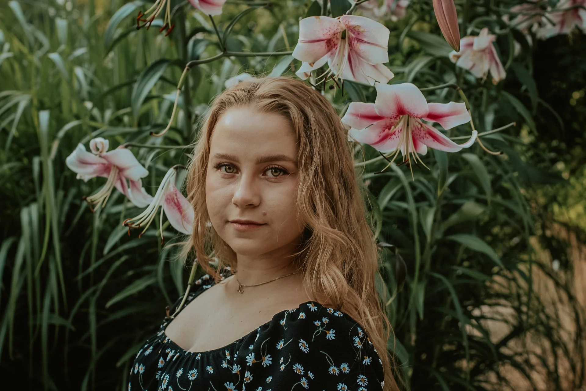 Portraits & Pets