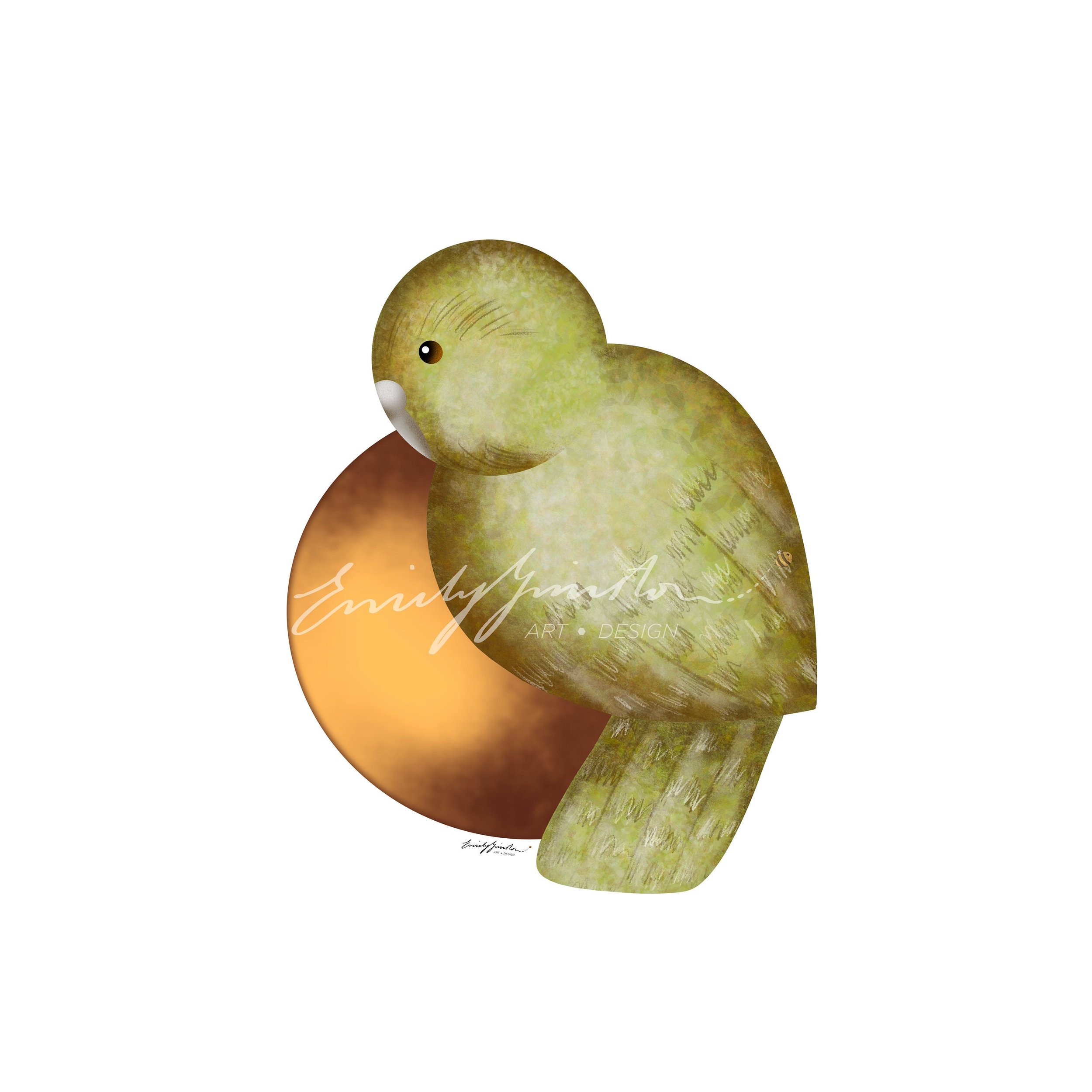 https://i.etsystatic.com/32841528/r/il/2cc6ce/3471190838/il_fullxfull.3471190838_h7oa.jpg