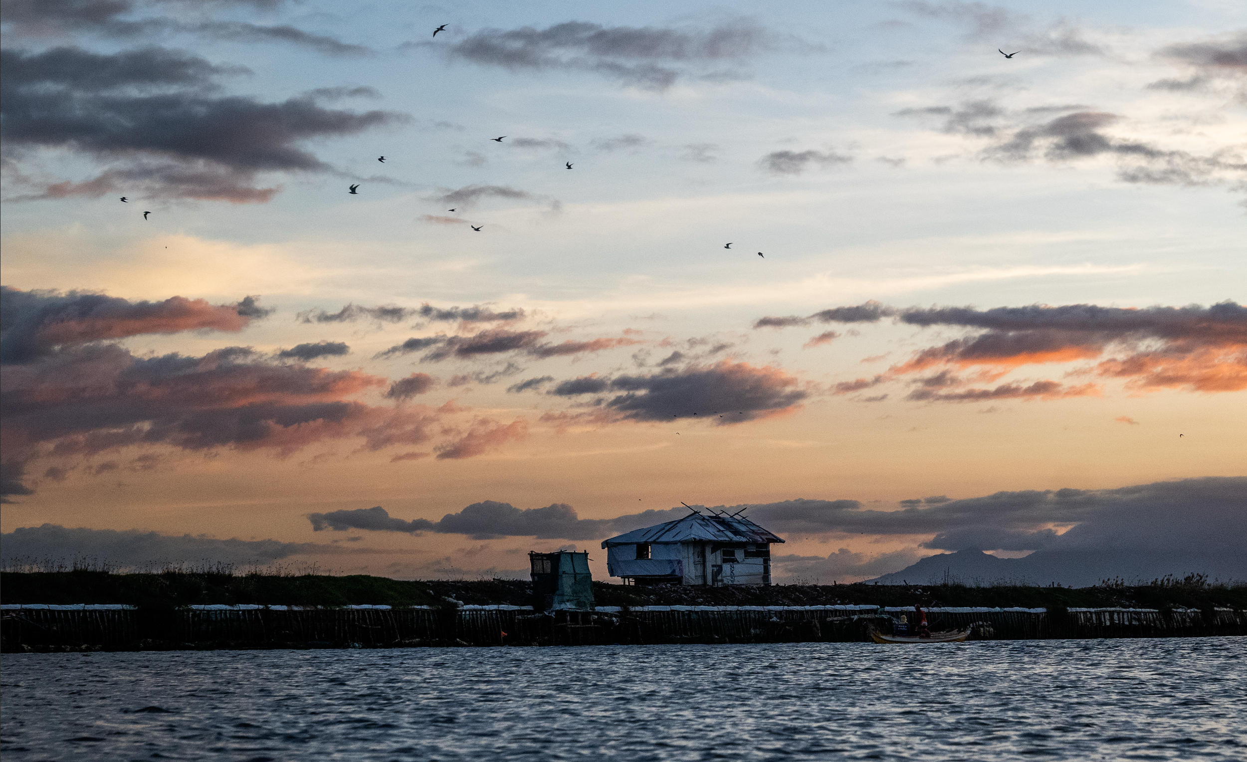 Screenshot 2026-02-04 at 4.10.28 PM.png