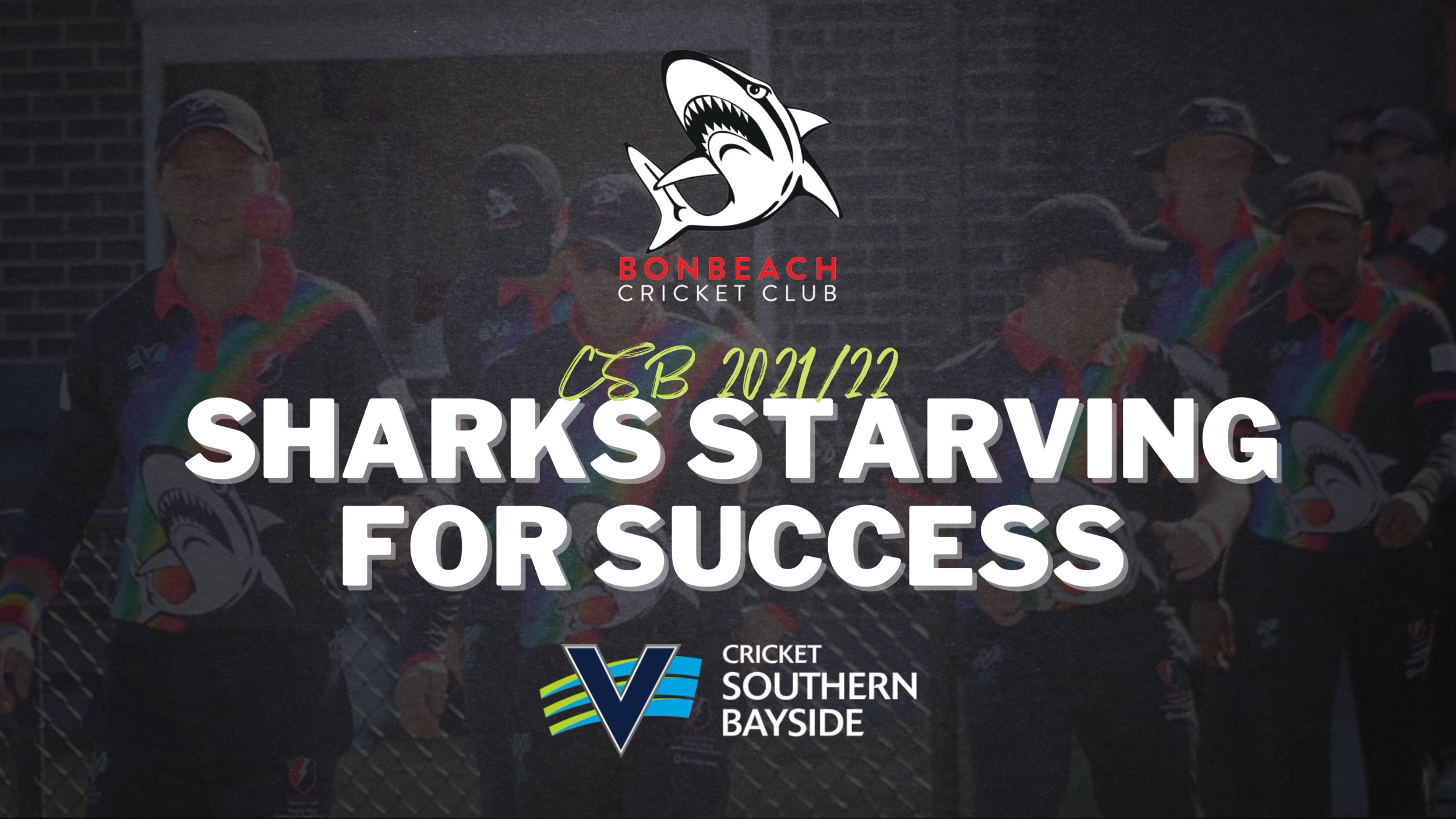 Sharks Starving for Success
