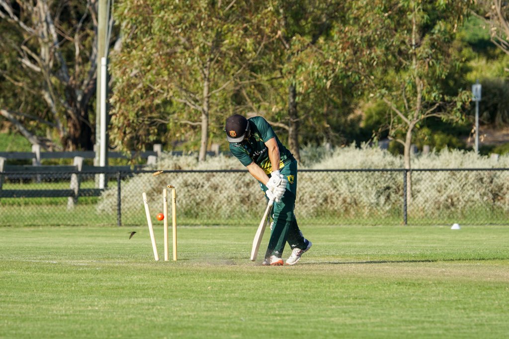 cricket-southern-bayside-csb-parkdale-united-v-bonbeach-t20-south-round-4-season-2023-24-45.jpg