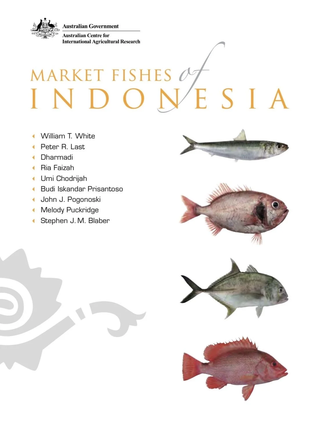 MARKET FISHES OF INDONESIA