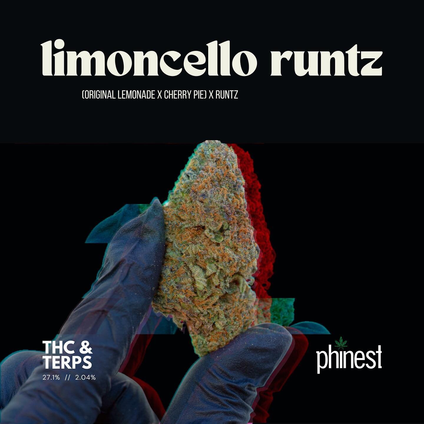 The Runtz cross that performs &amp; yields like indoor even during deps ⚡️ Limoncello Runtz creatively combines three stand-alone stunning cultivars to produce a dense, zesty cross full of unique terpenes including Ocimene, trans-Nerolidol, and &alph
