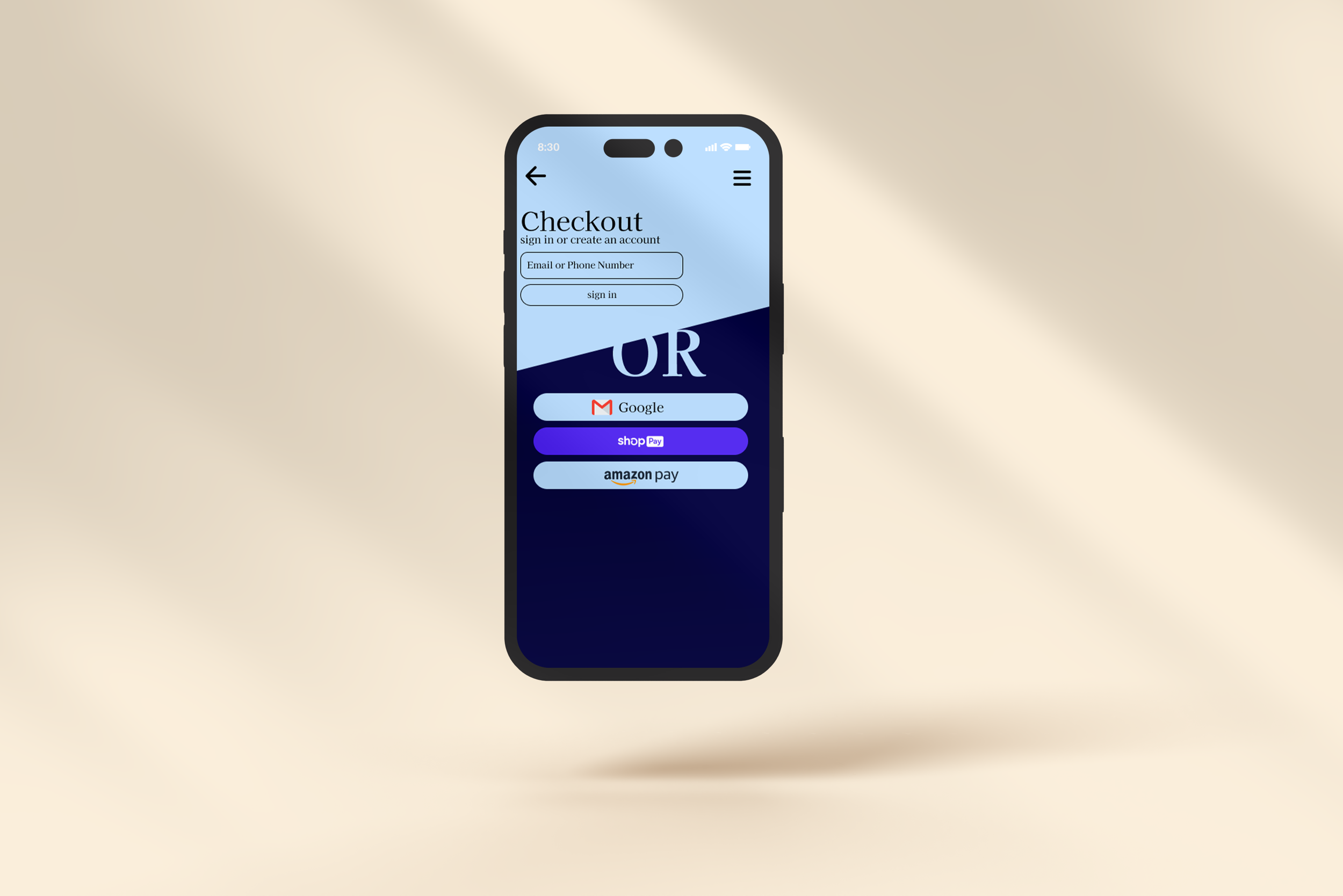 Checkout Page