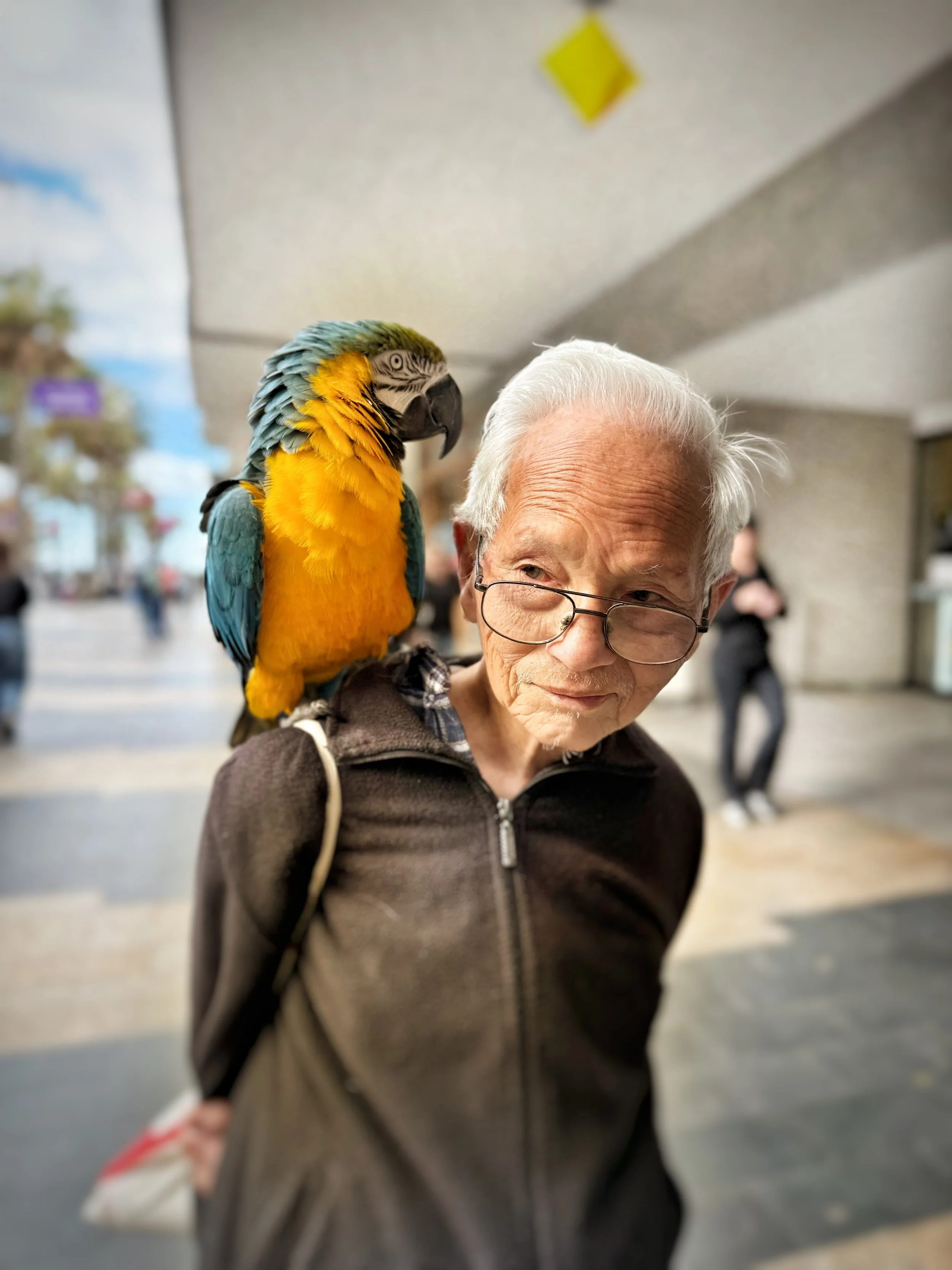 How Street and Travel Photography Train the Eye and Shape My Professional Work