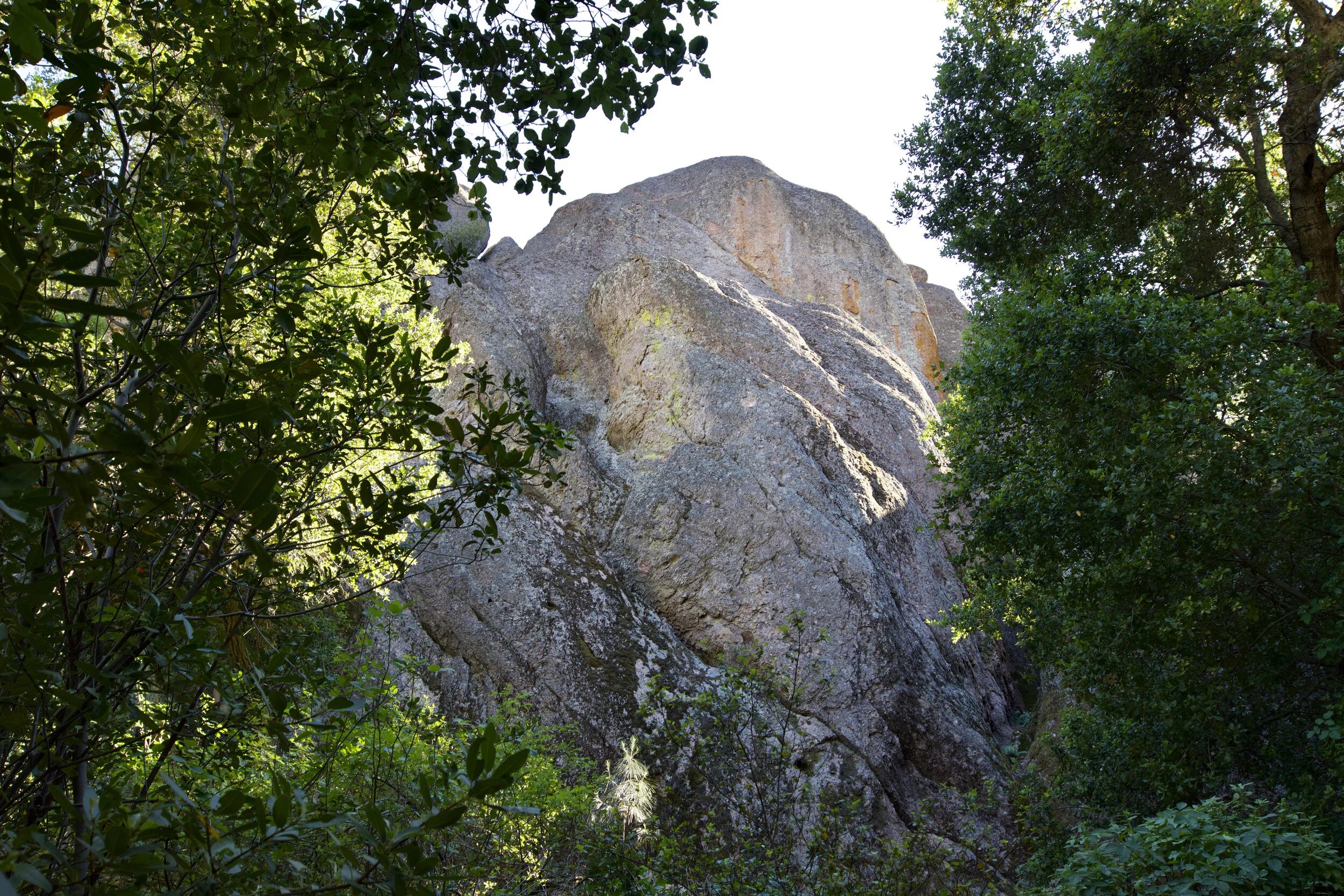 Huge rock amongst the trees.