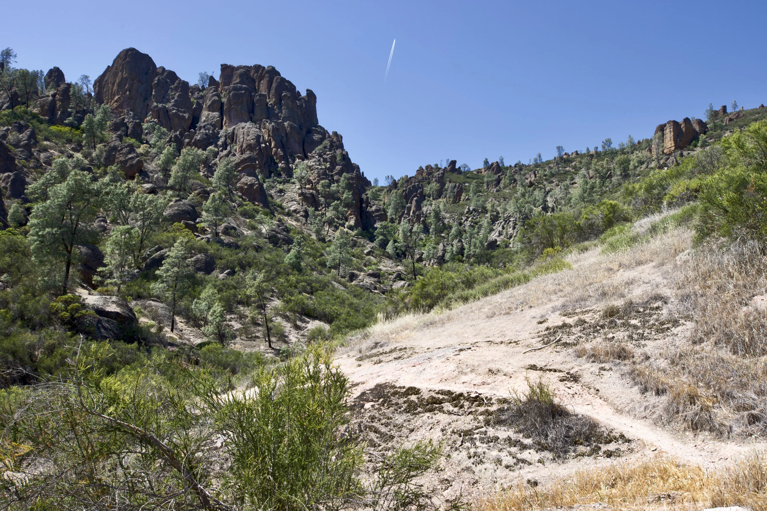 On the way up to the High Peaks along the Condor Gulch Trail.
