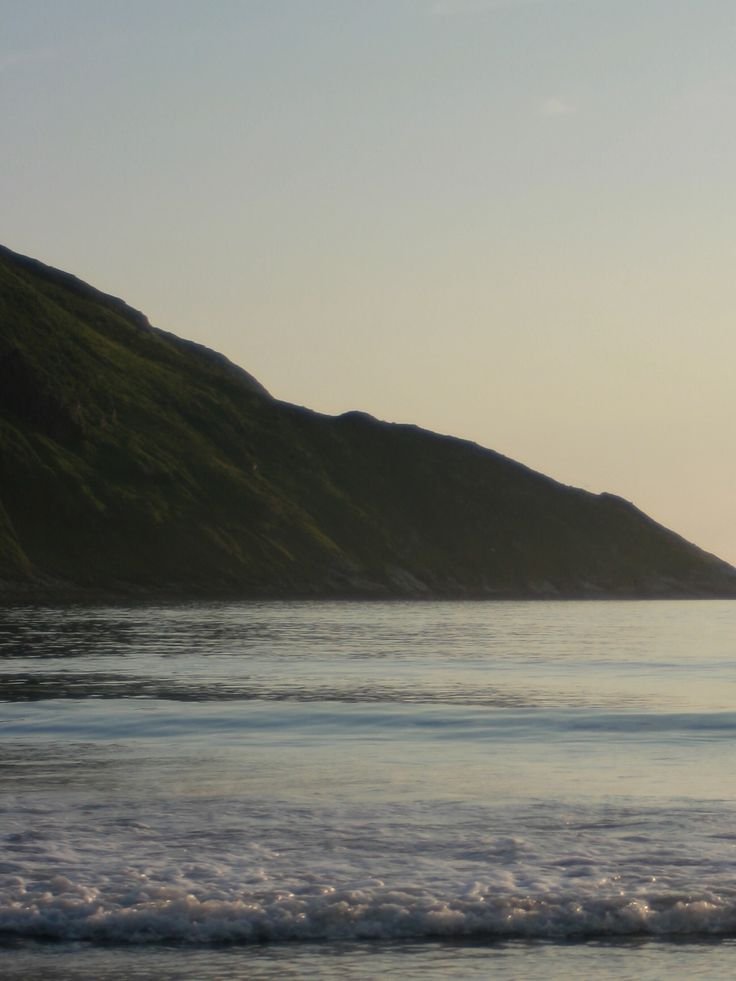 Seasonal Insights: Start of Summer