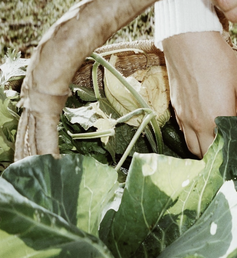 Screenshot 2025-11-11 at 12.52.26 PM.png