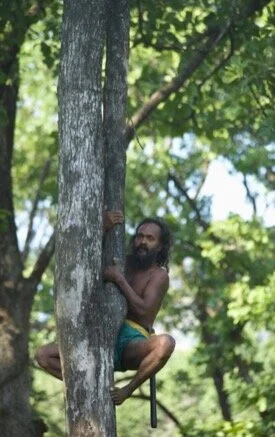 Vedda Language Vedda Tribes of Sri Lanka | Indigenous People of Gal Oya — Gal Oya ...