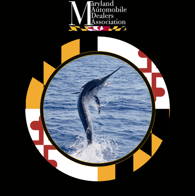 MADA White Marlin Open Happy Hour