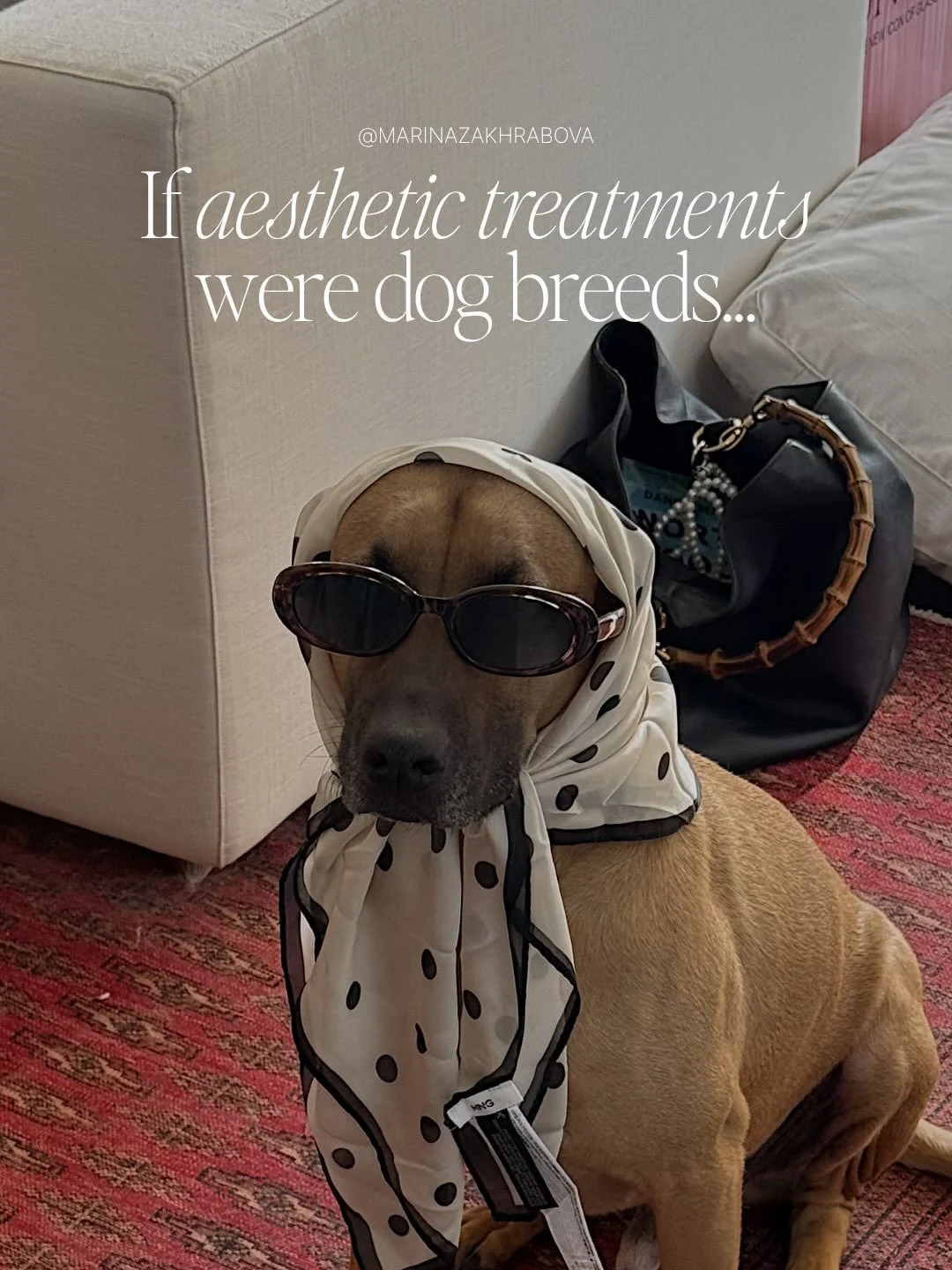We matched aesthetic treatments to dog breeds and somehow it makes way too much sense 🐶

Swipe through and tell me if you agree.

Which one is your go-to treatment? 🤍
&bull;
👩🏻&zwj;⚕️ Marina Zakhrabova, BSN, RN
🤍 @drgerstmannyc 
📍 149 E 62nd St
