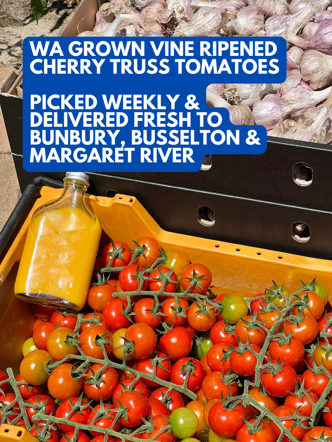 WA Grown Vine Ripened Cherry Truss Tomatoes. Picked Weekly &amp; Delivered Fresh to Bunbury, Busselton &amp; Margaret River