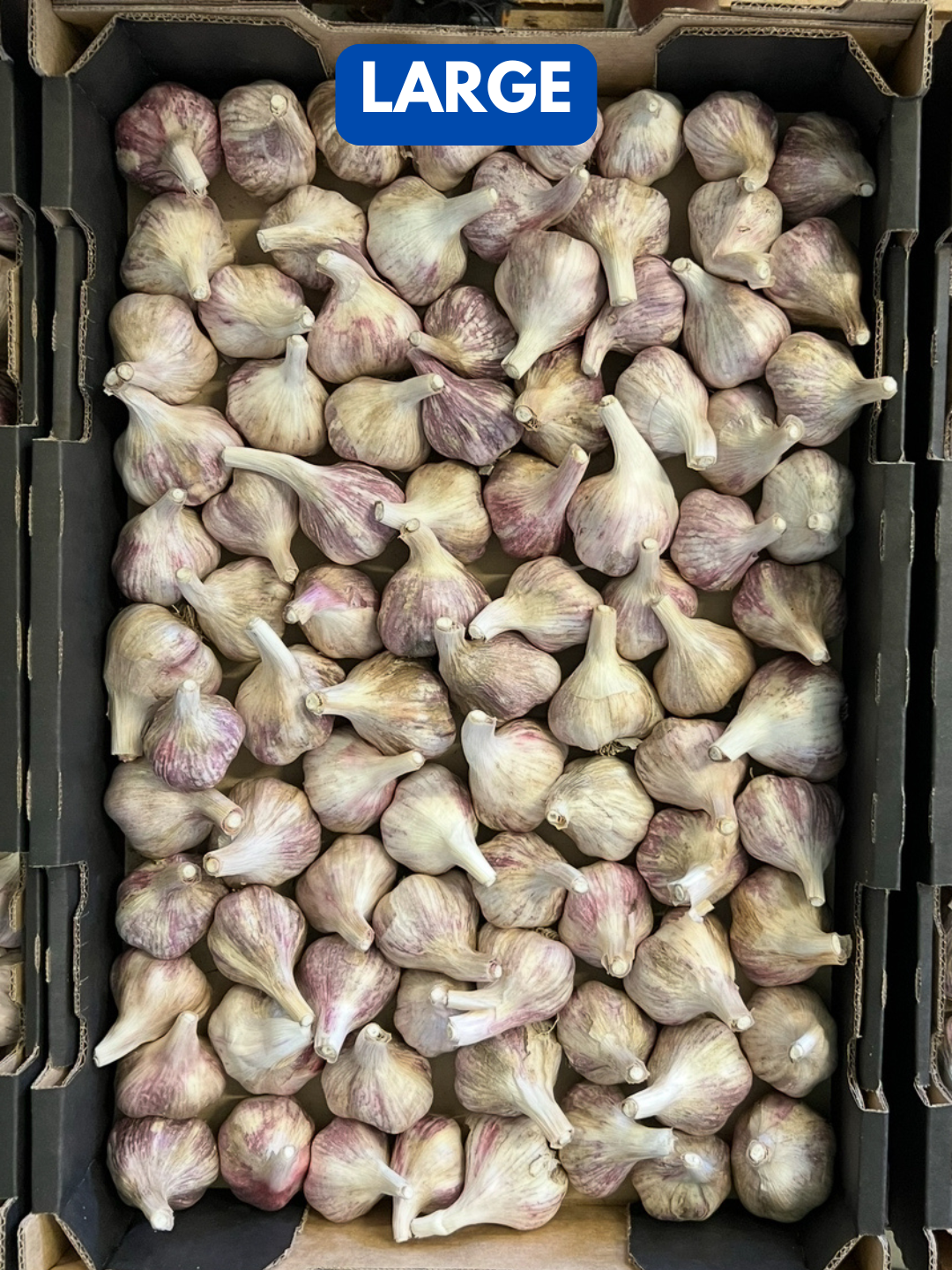Our 2025 garlic crop has been harvested (1).png