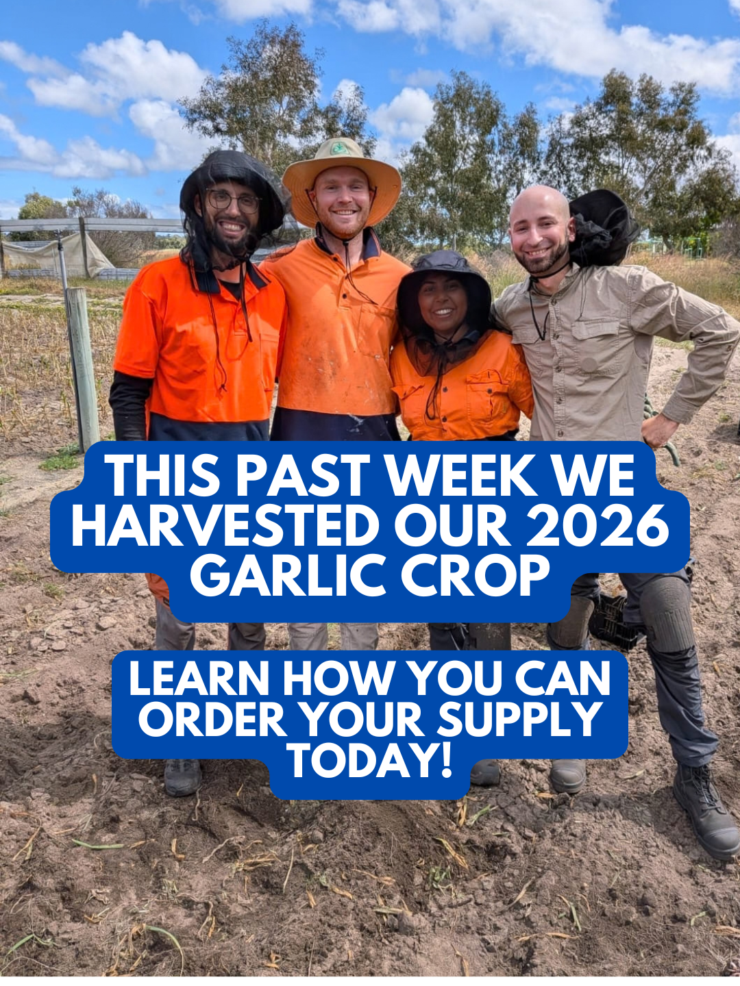 wa garlic supply perth busselton