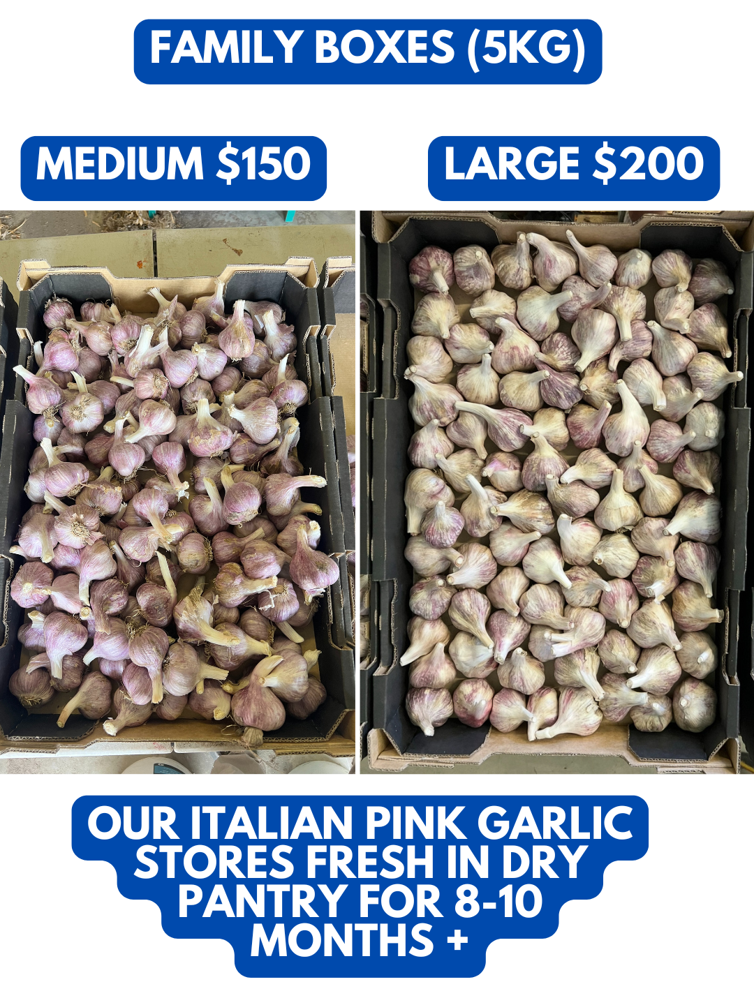 Our 2025 garlic crop has been harvested (1).png