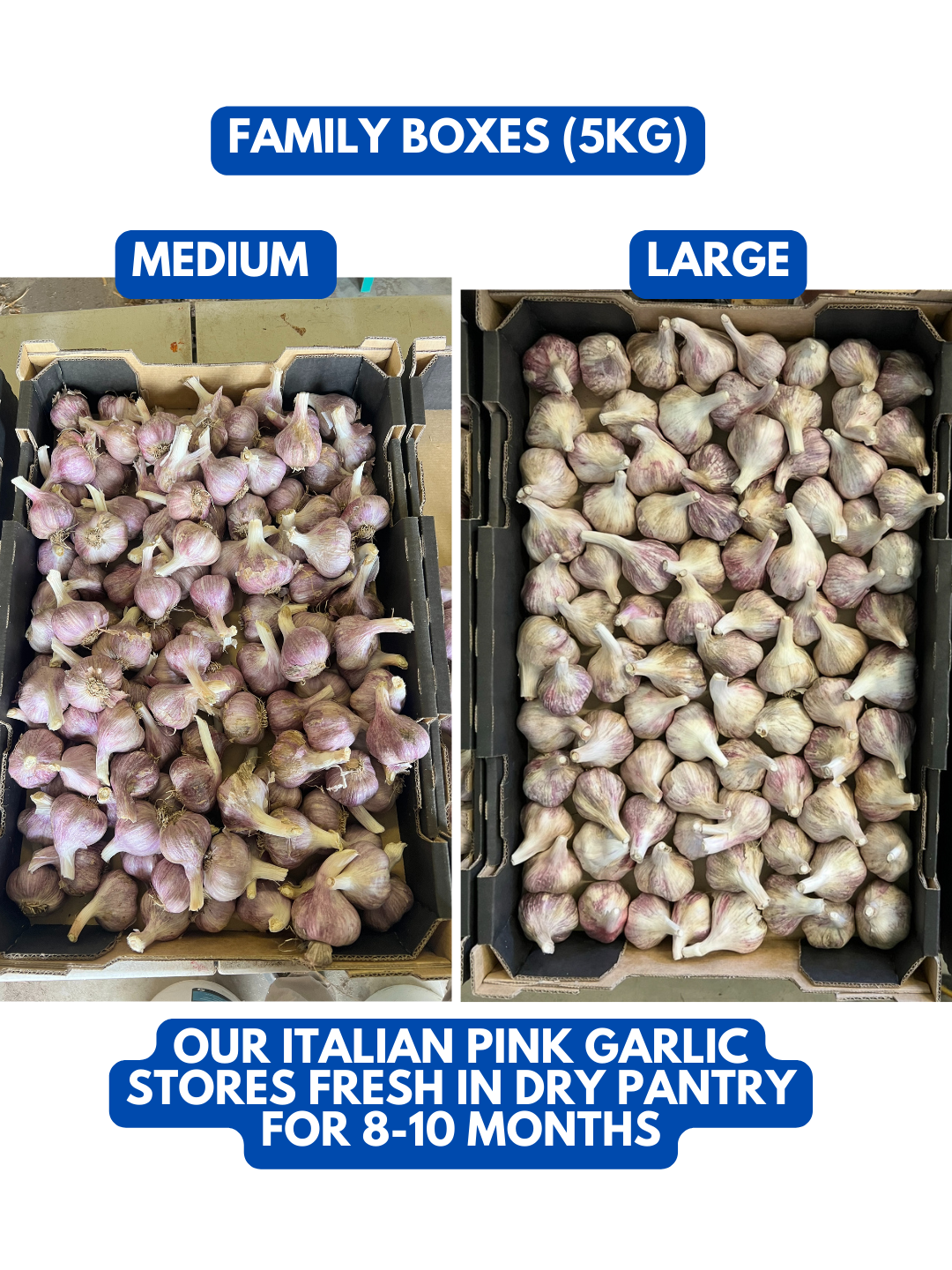 Our 2025 garlic crop has been harvested (2).png