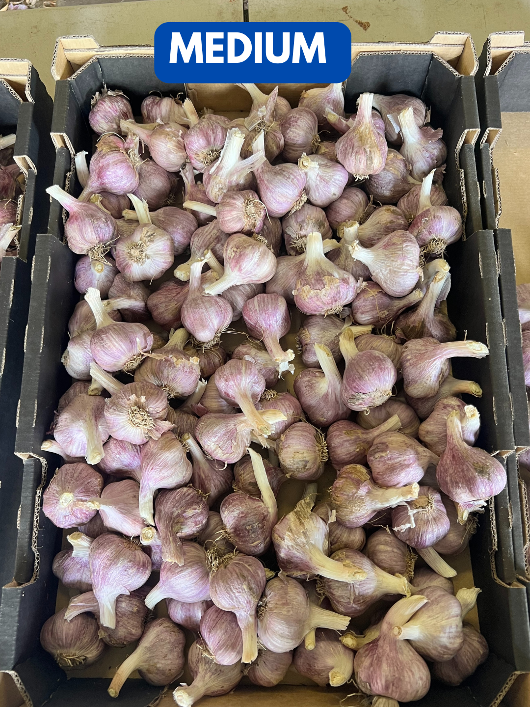 Our 2025 garlic crop has been harvested.png