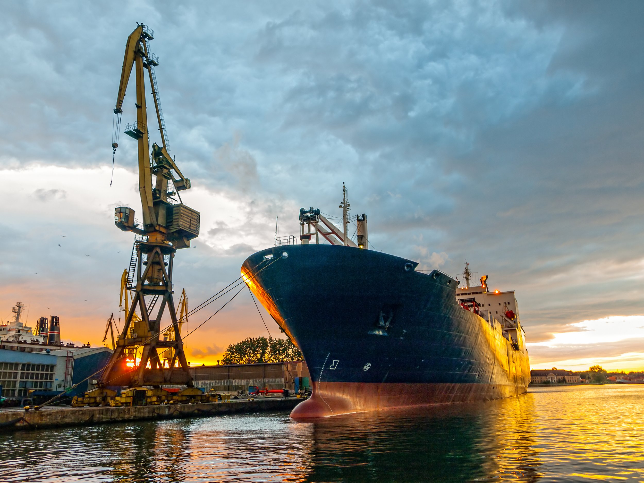 How to Ensure High-Quality Ocean Freight Invoices and Avoid Costly Errors