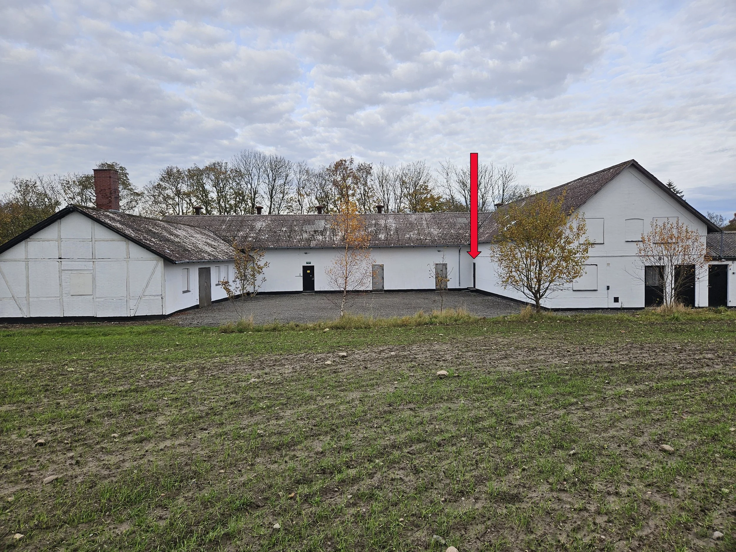 20251105_132755 pil.JPG