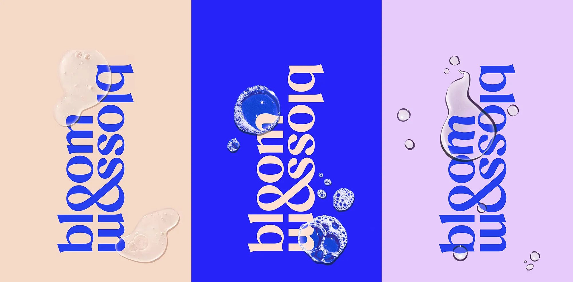 Bloom & Blossom — Alec Tear