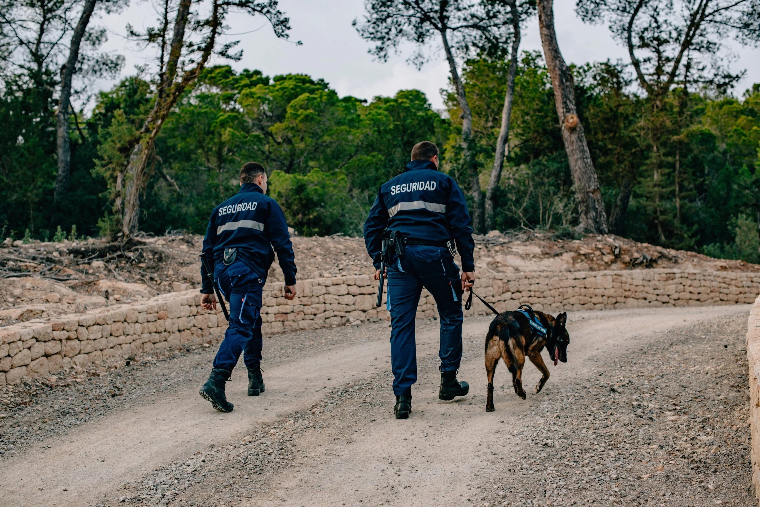 Advantages of Hiring Private Security Over Alarm Systems