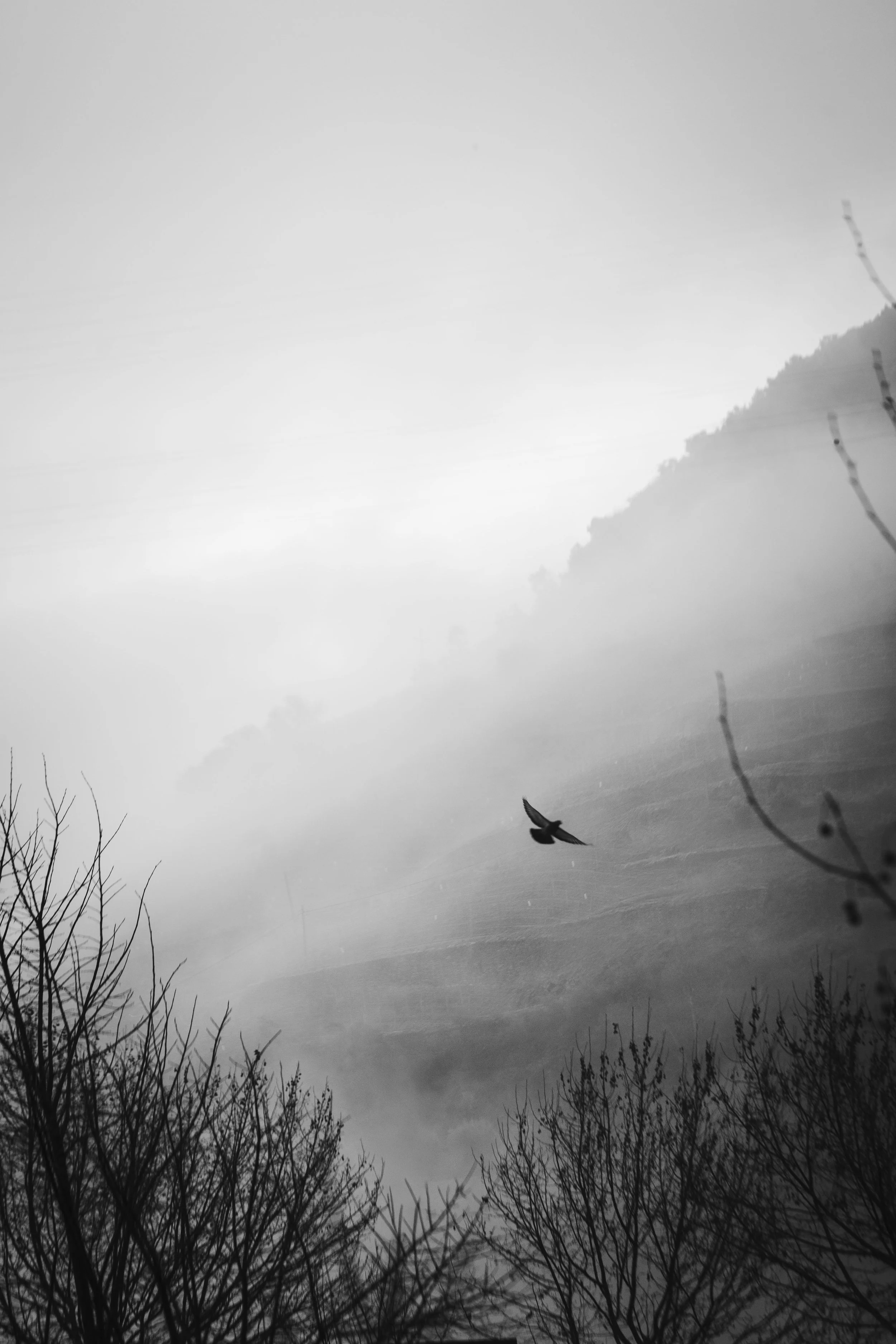 V_Sem título-2416_Print File copiar.jpg